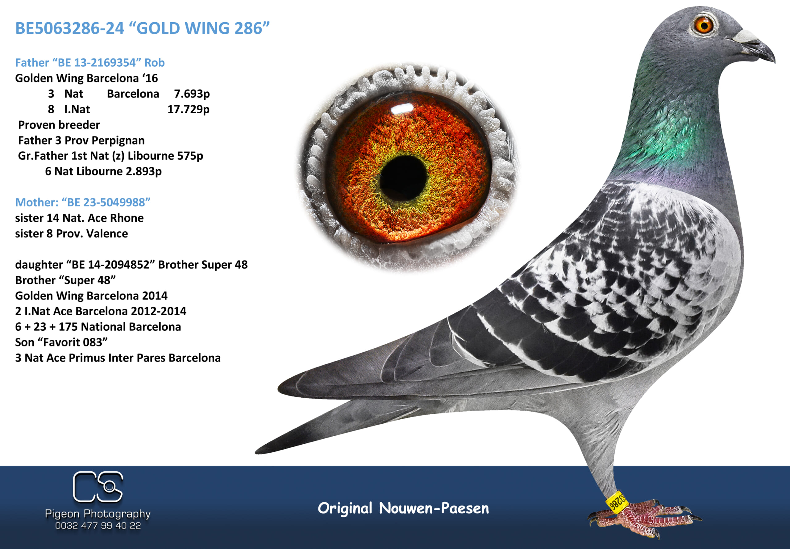 Nouwen Paesen 5063286-24 売切れ