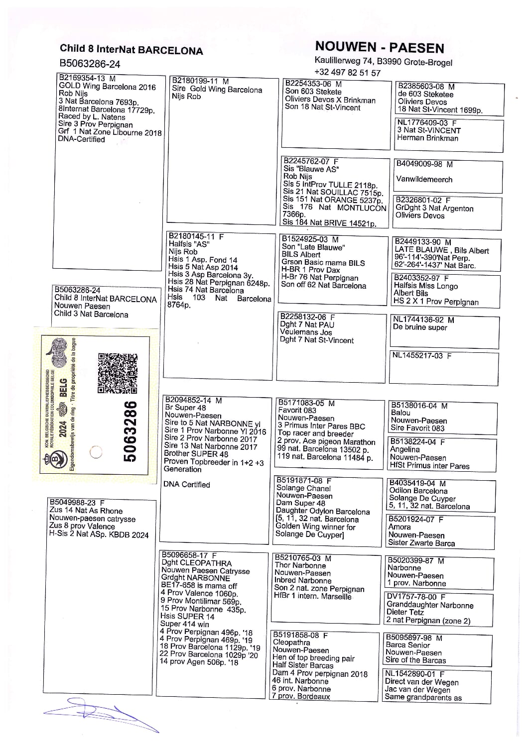 Nouwen Paesen 5063286-24 売切れ - 画像 (2)