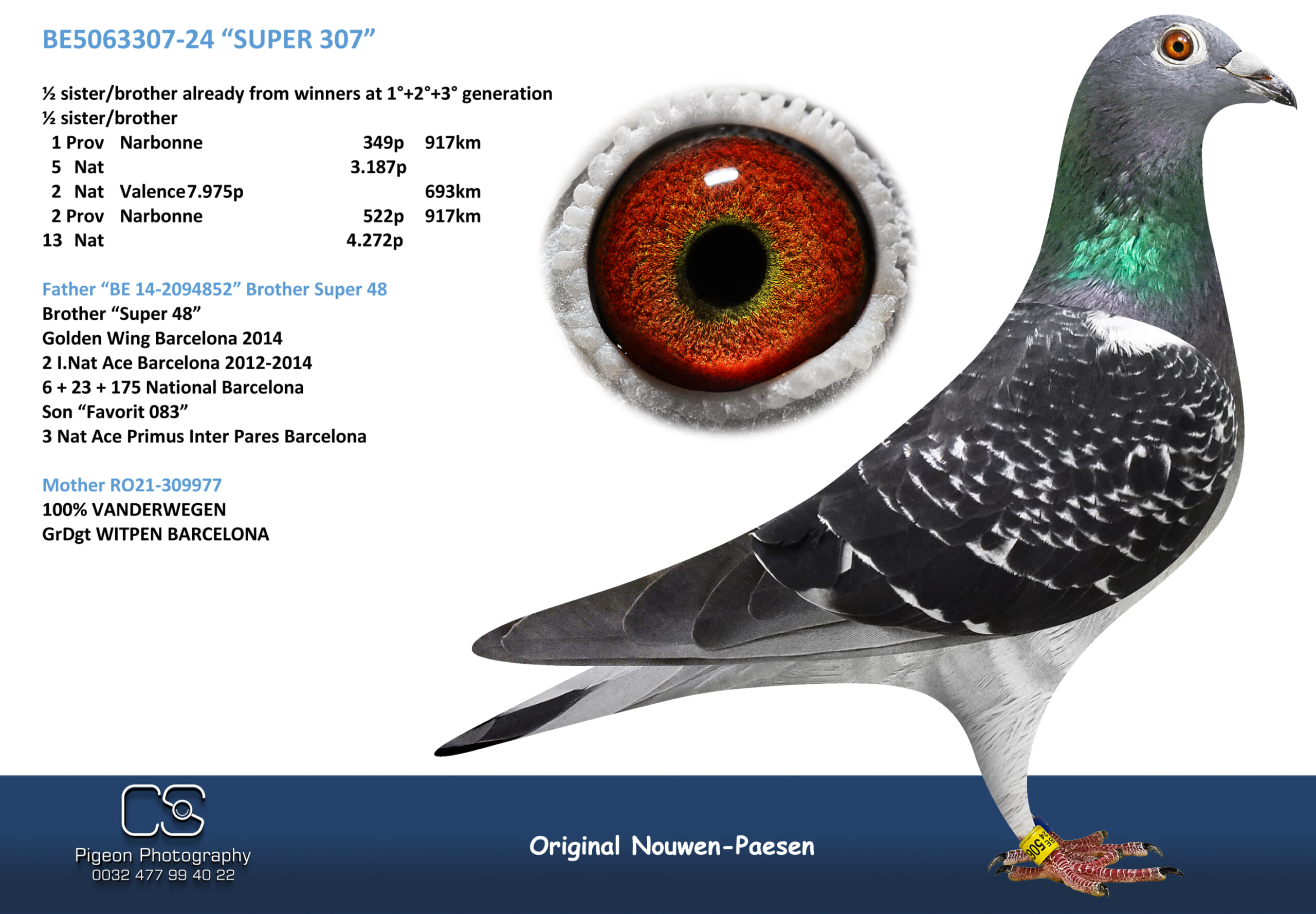 Nouwen Paesen 5063307-24