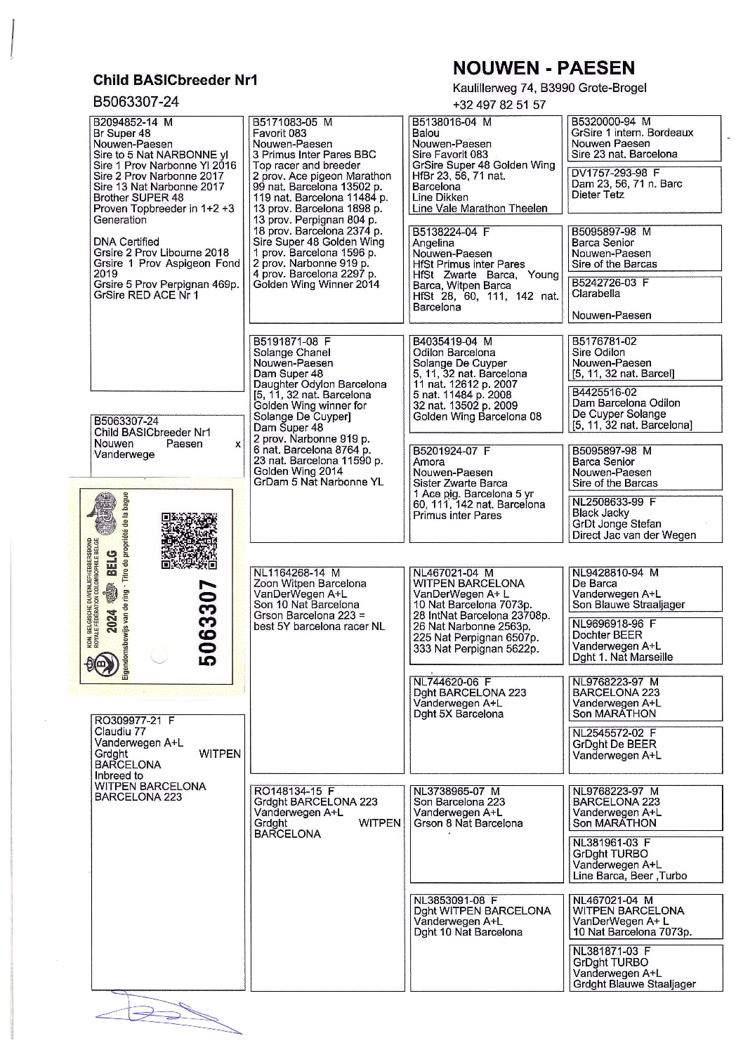 Nouwen Paesen 5063307-24 - 画像 (2)