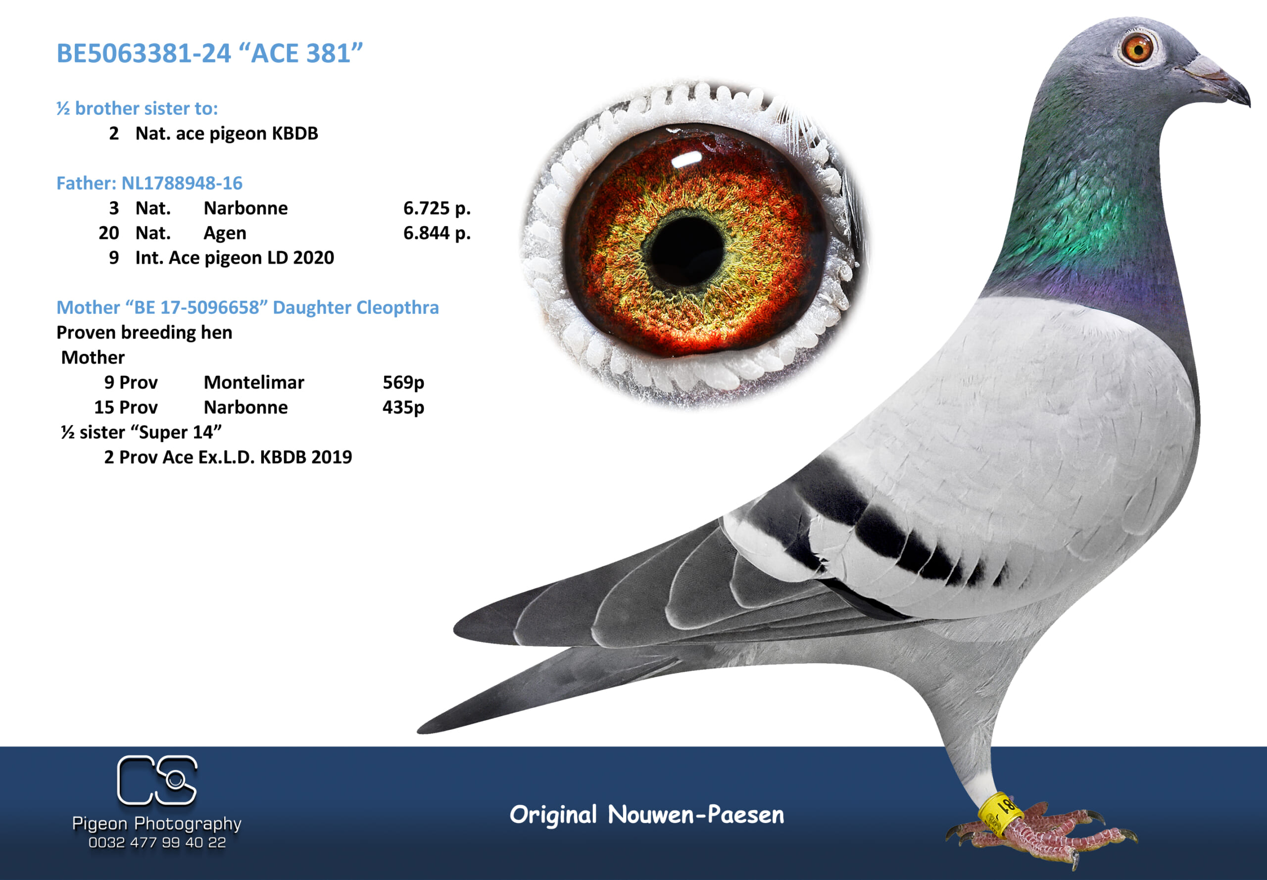 Nouwen Paesen 5063381-24 売切れ