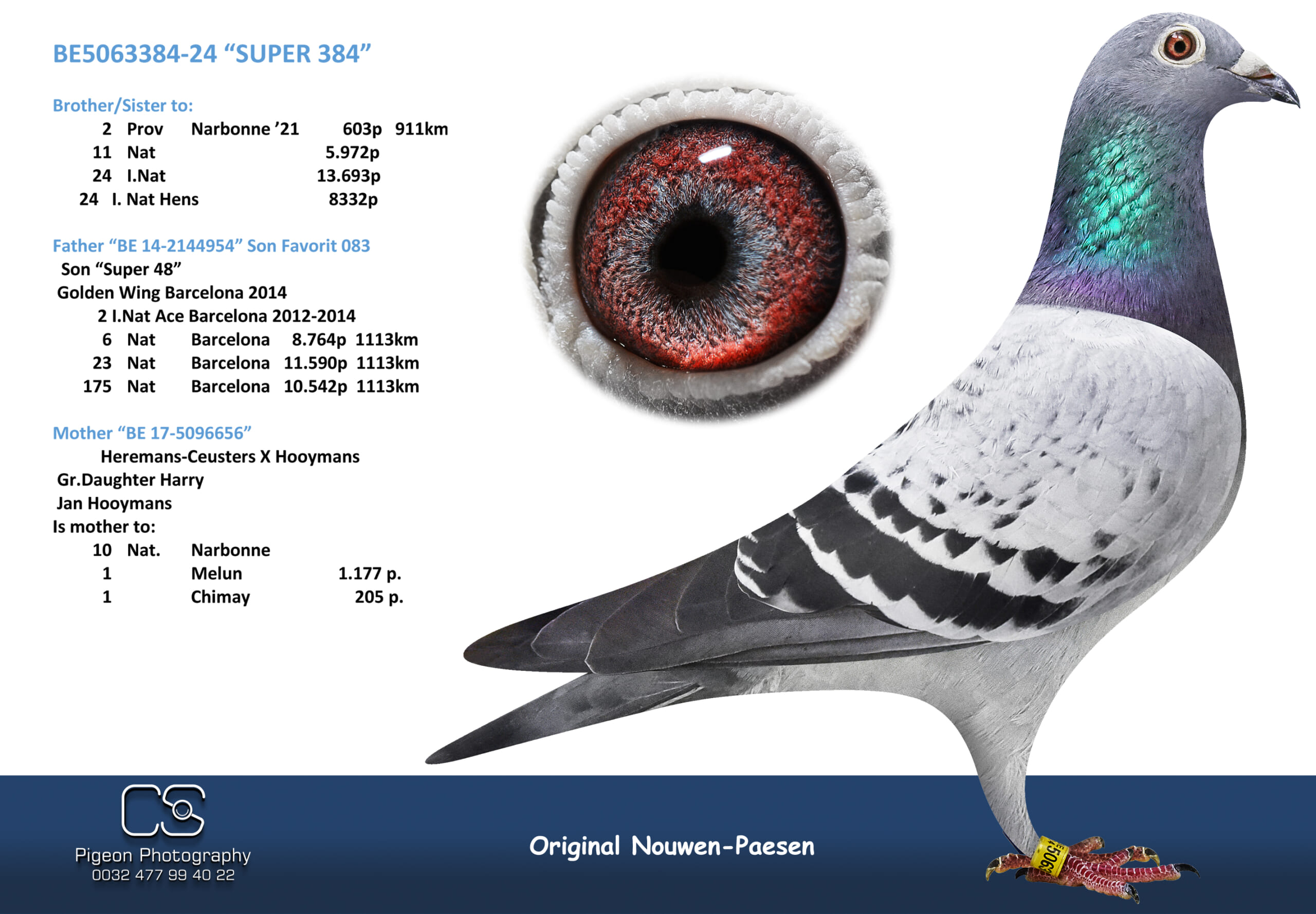 Nouwen Paesen 5063384-24