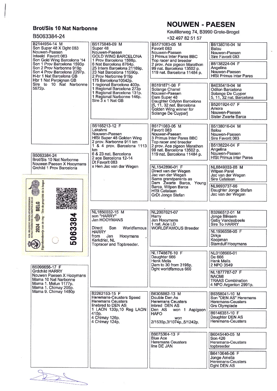Nouwen Paesen 5063384-24 - 画像 (2)