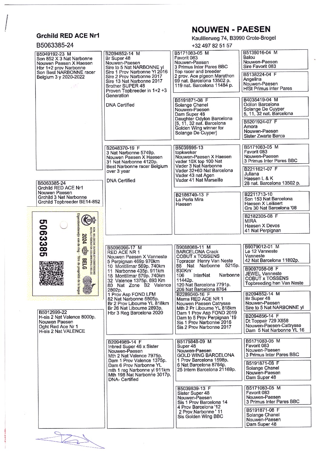 Nouwen Paesen 5063385-24 売切れ - 画像 (2)
