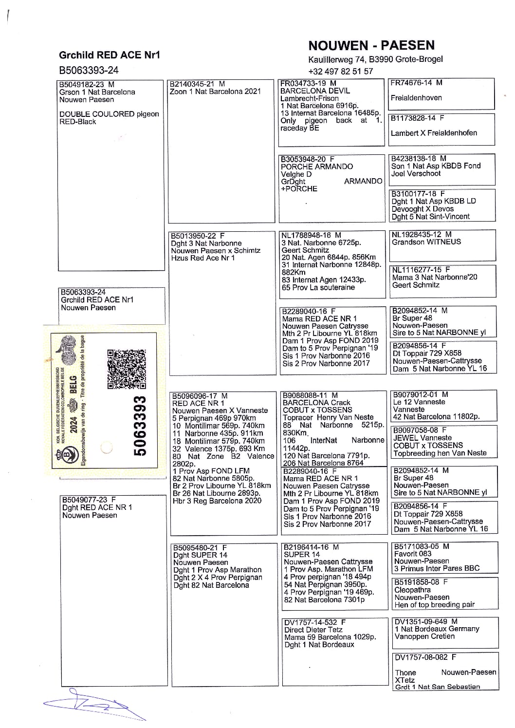 Nouwen Paesen 5063393-24 - 画像 (2)