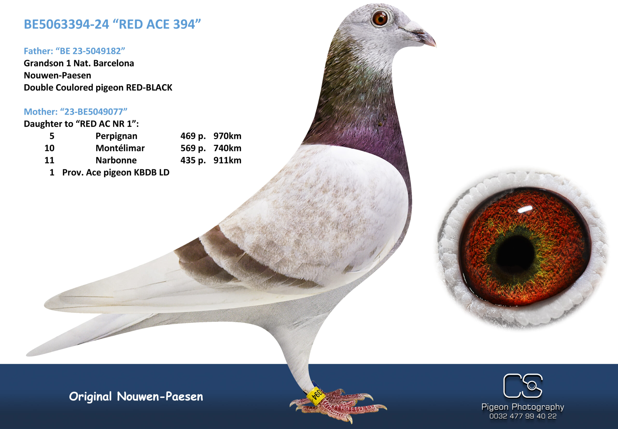 Nouwen Paesen 5063394-24 売切れ