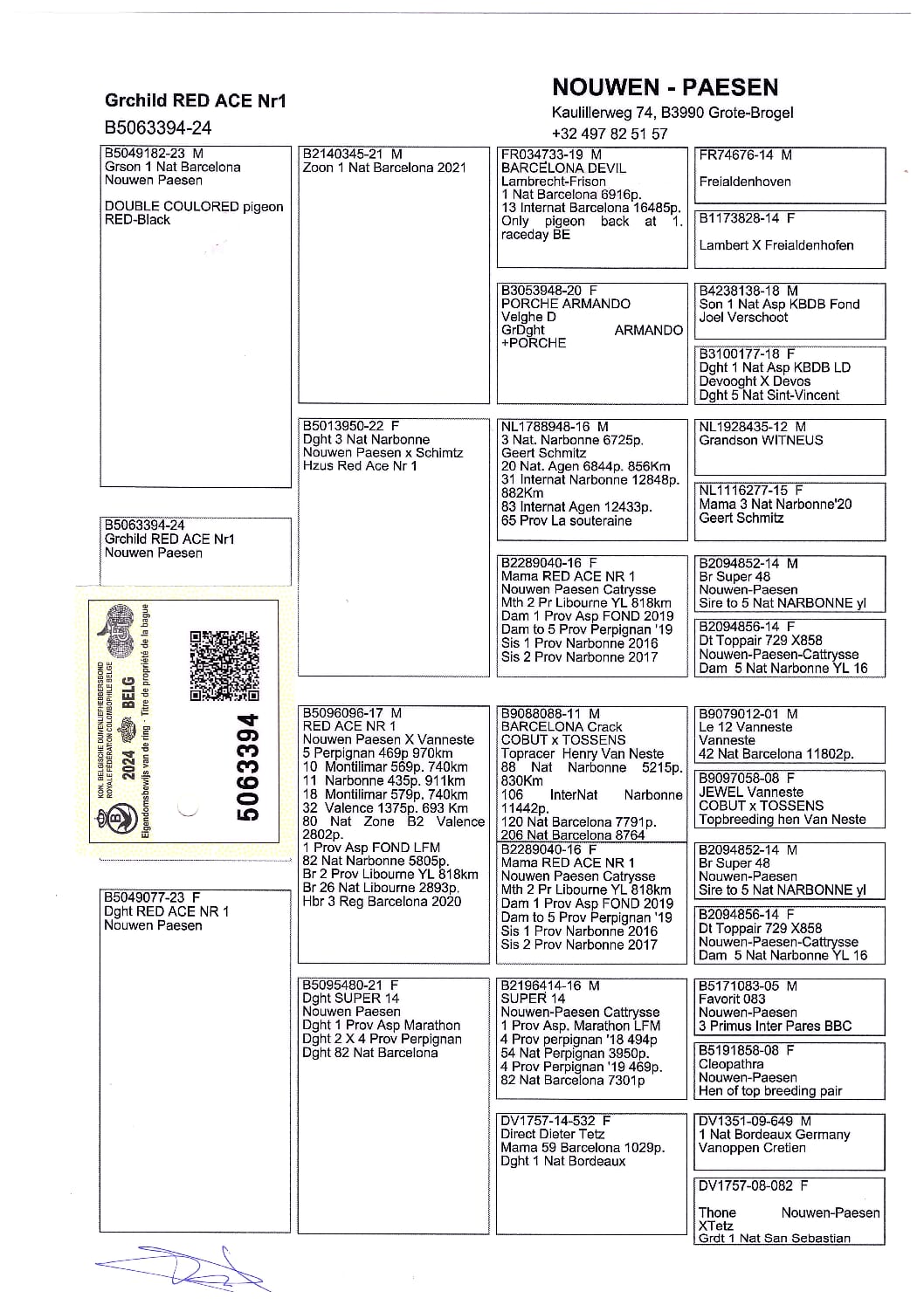 Nouwen Paesen 5063394-24 売切れ - 画像 (2)