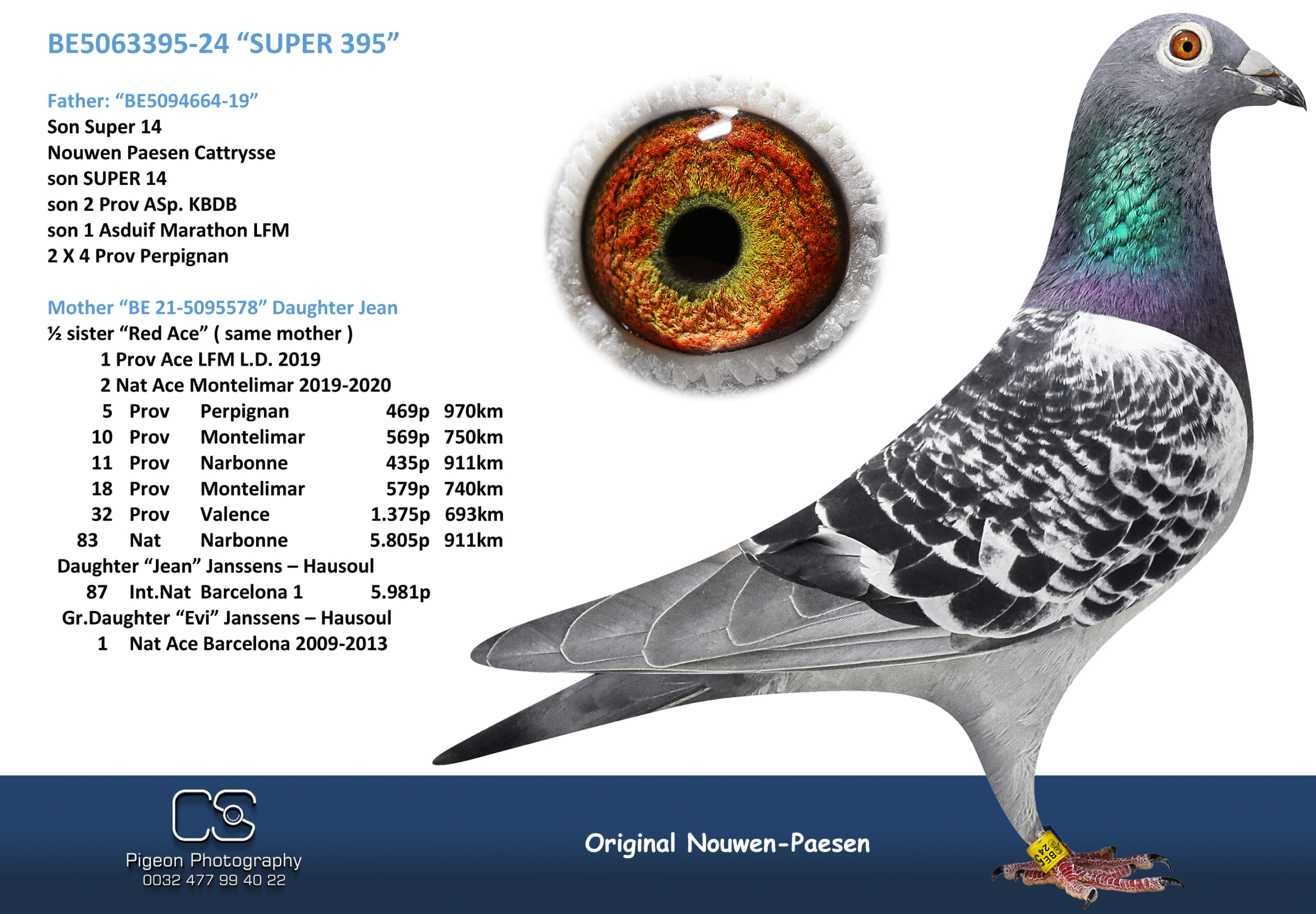 Nouwen Paesen 5063395-24