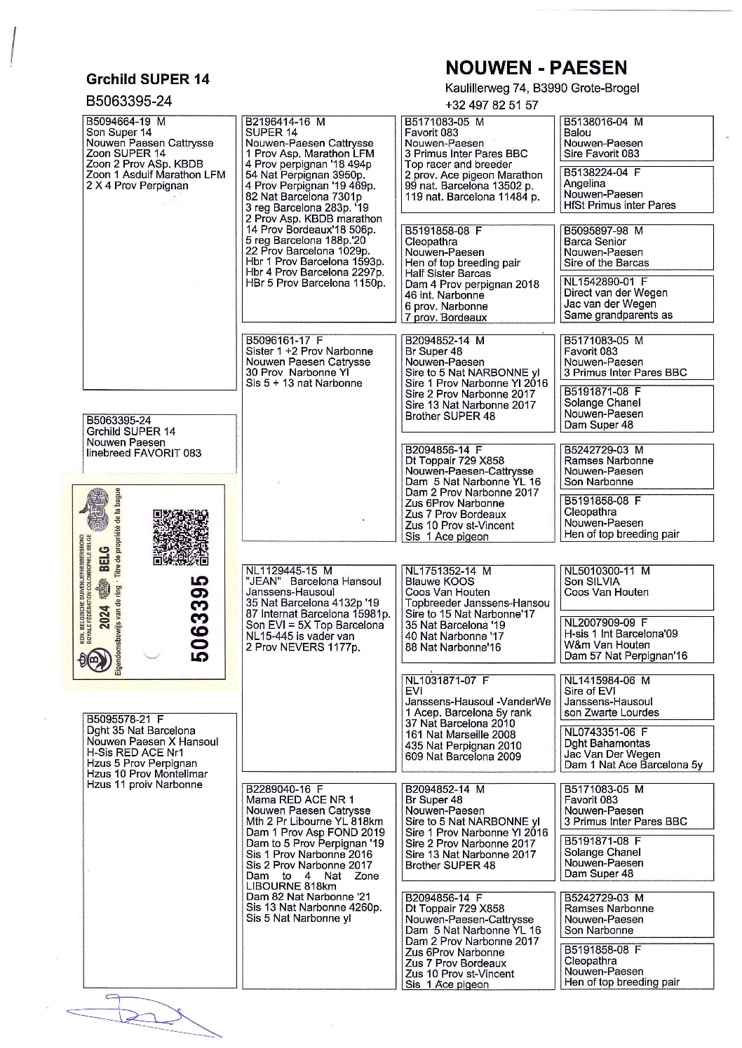 Nouwen Paesen 5063395-24 - 画像 (2)