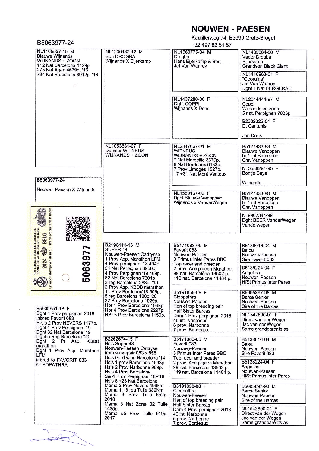 Nouwen Paesen 5063977-24 - 画像 (2)