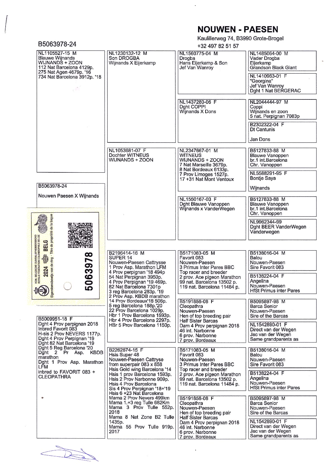 Nouwen Paesen 5063978-24 - 画像 (2)