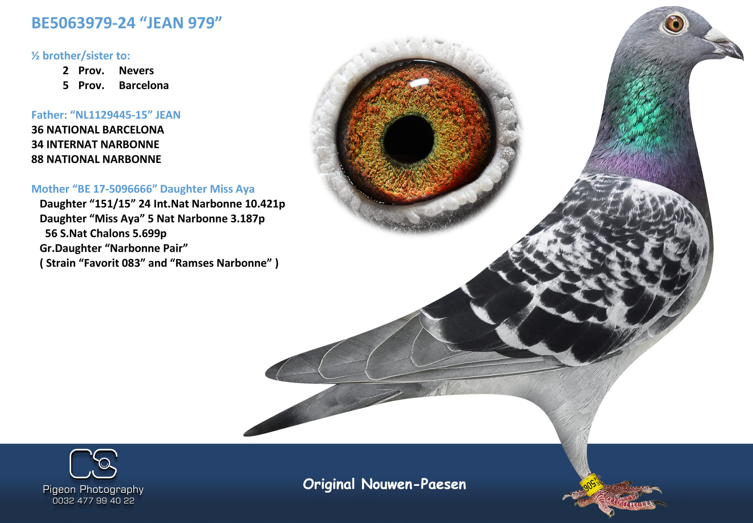 Nouwen Paesen 5063979-24