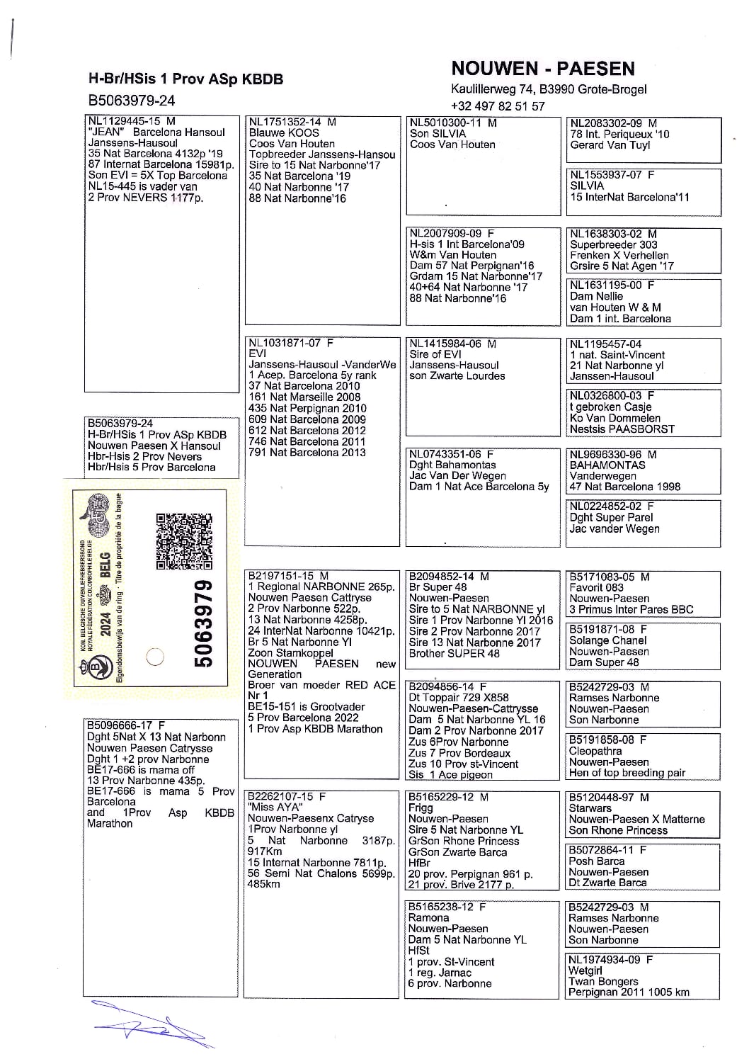 Nouwen Paesen 5063979-24 - 画像 (2)