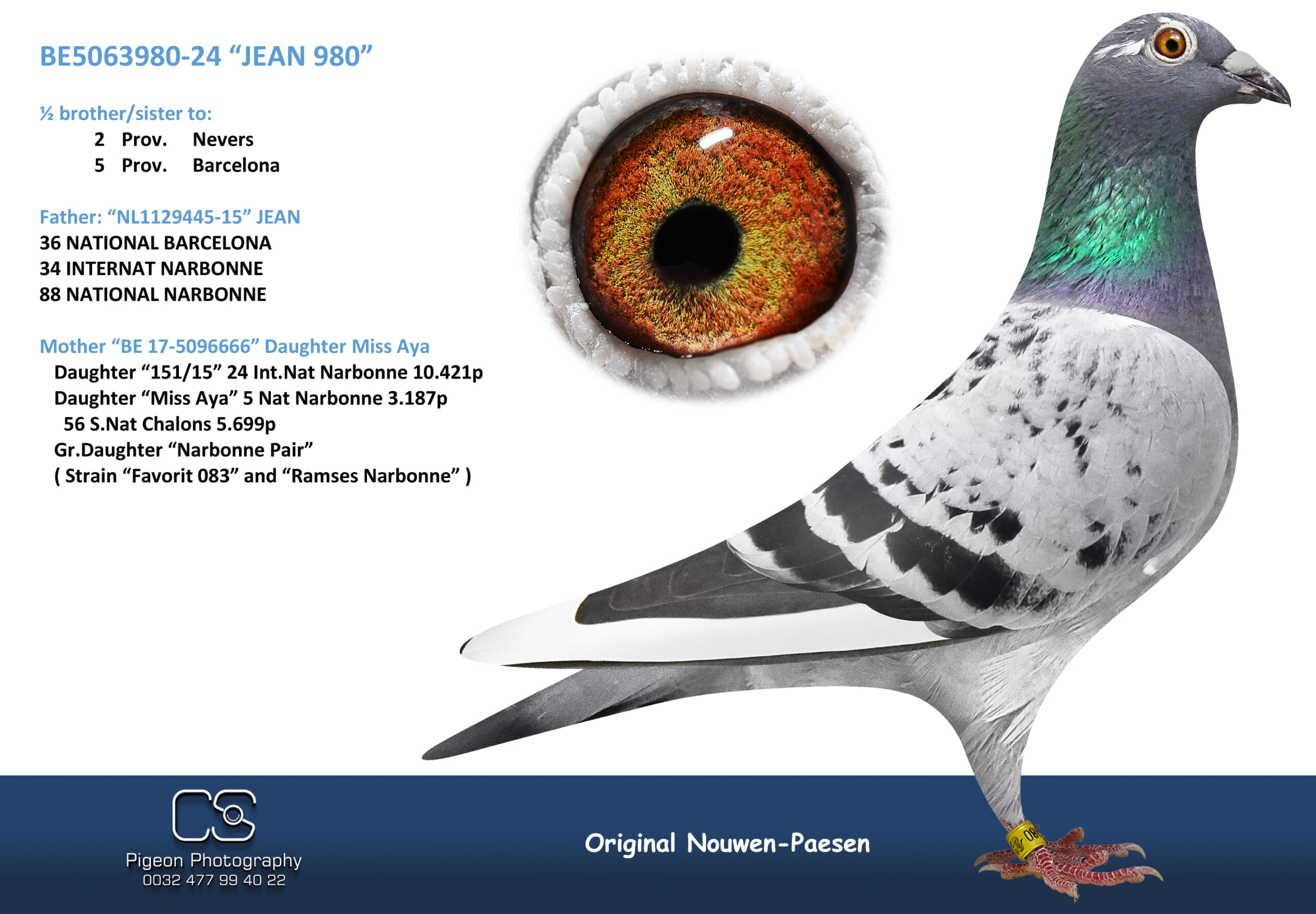 Nouwen Paesen 5063980-24