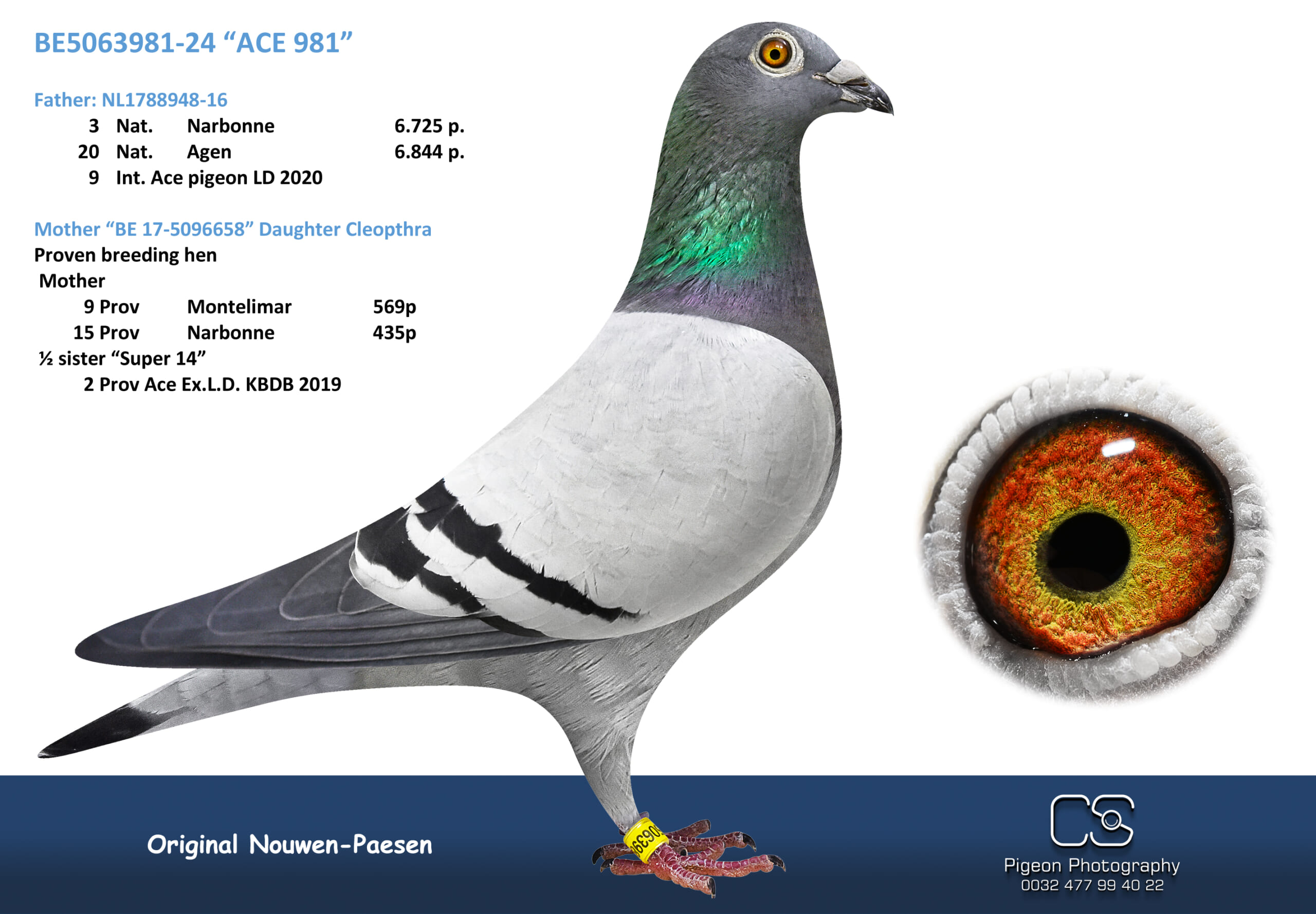 Nouwen Paesen 5063981-24 売切れ