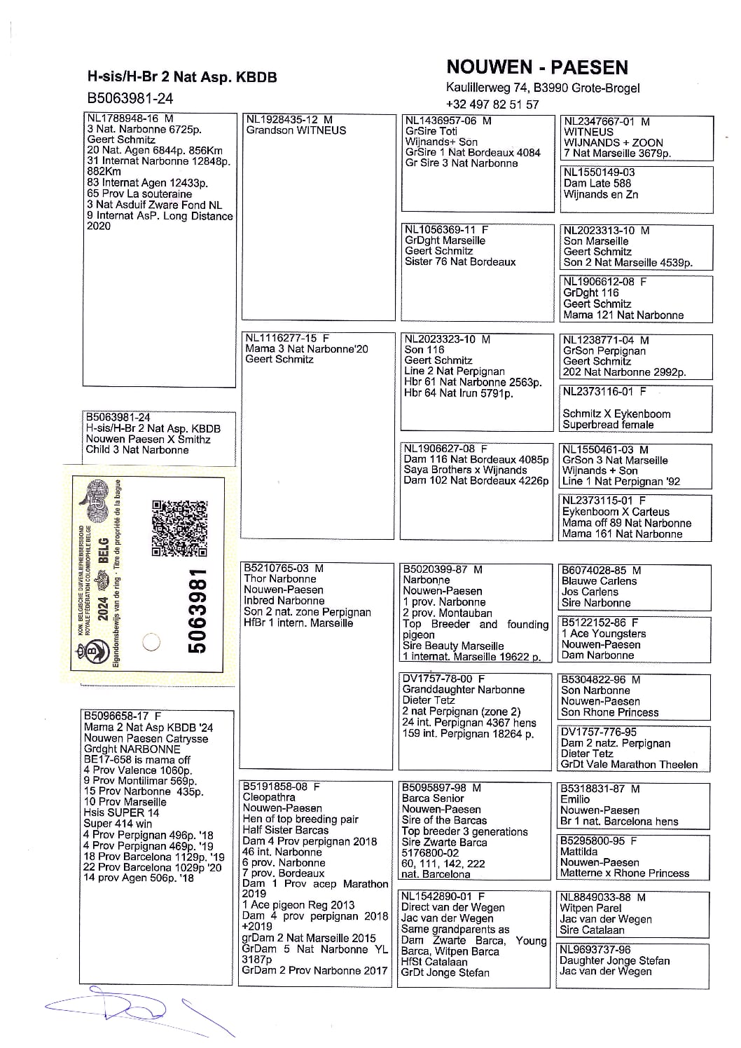 Nouwen Paesen 5063981-24 売切れ - 画像 (2)