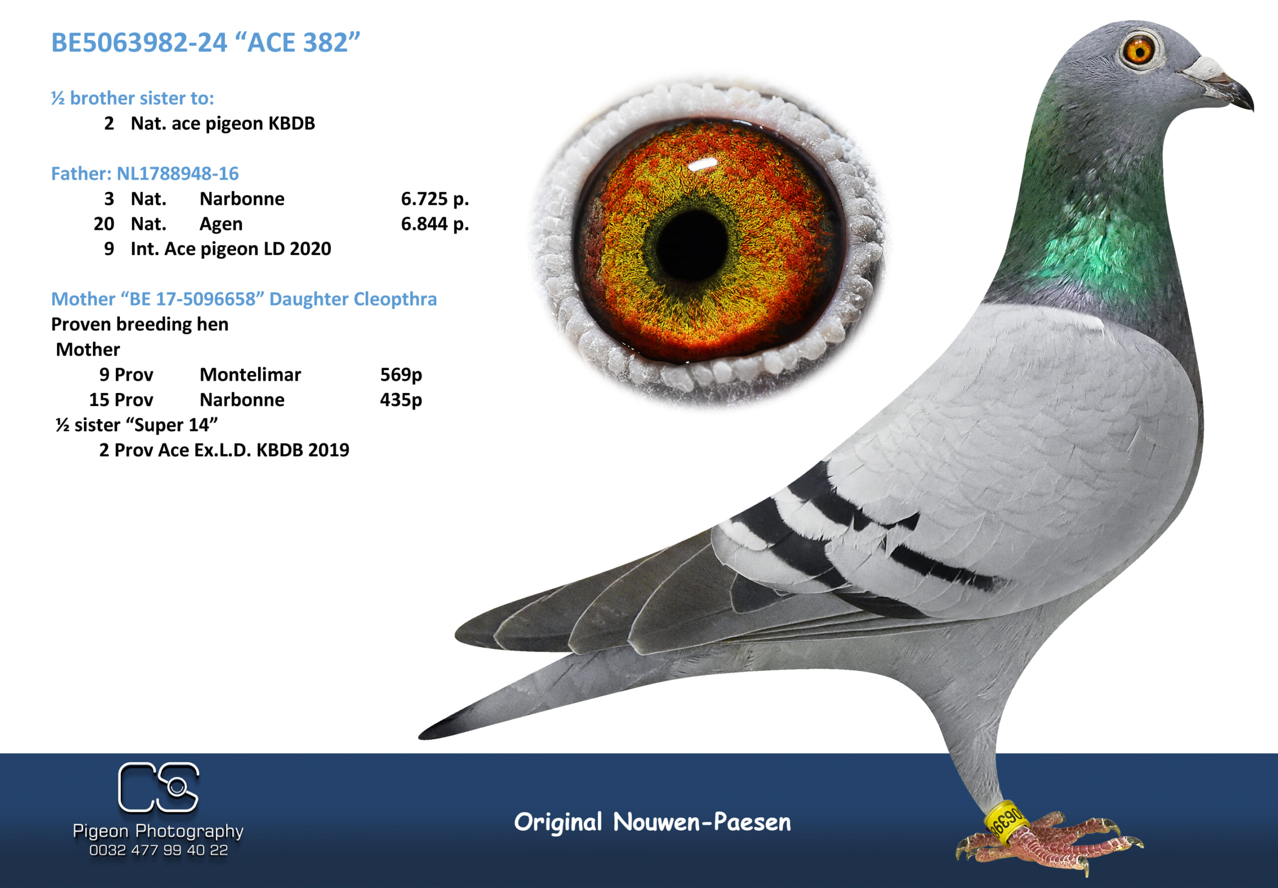 Nouwen Paesen 5063982-24