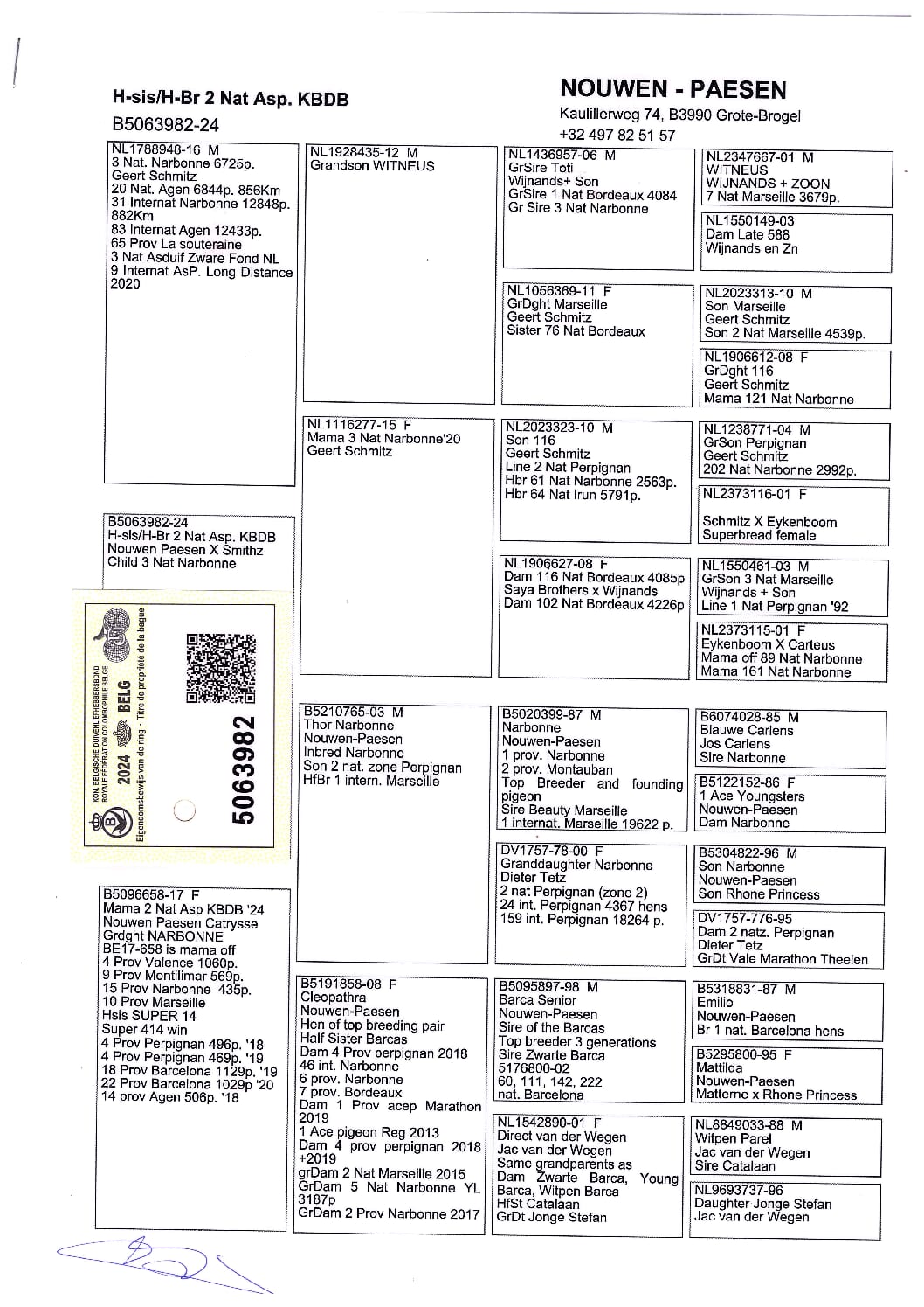 Nouwen Paesen 5063982-24 - 画像 (2)