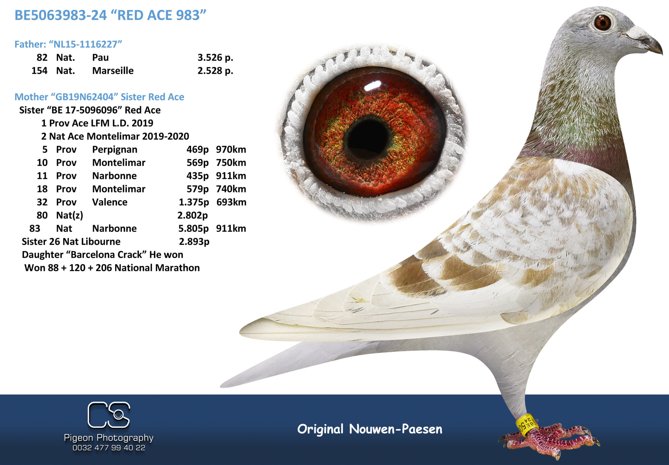 Nouwen Paesen 5063983-24