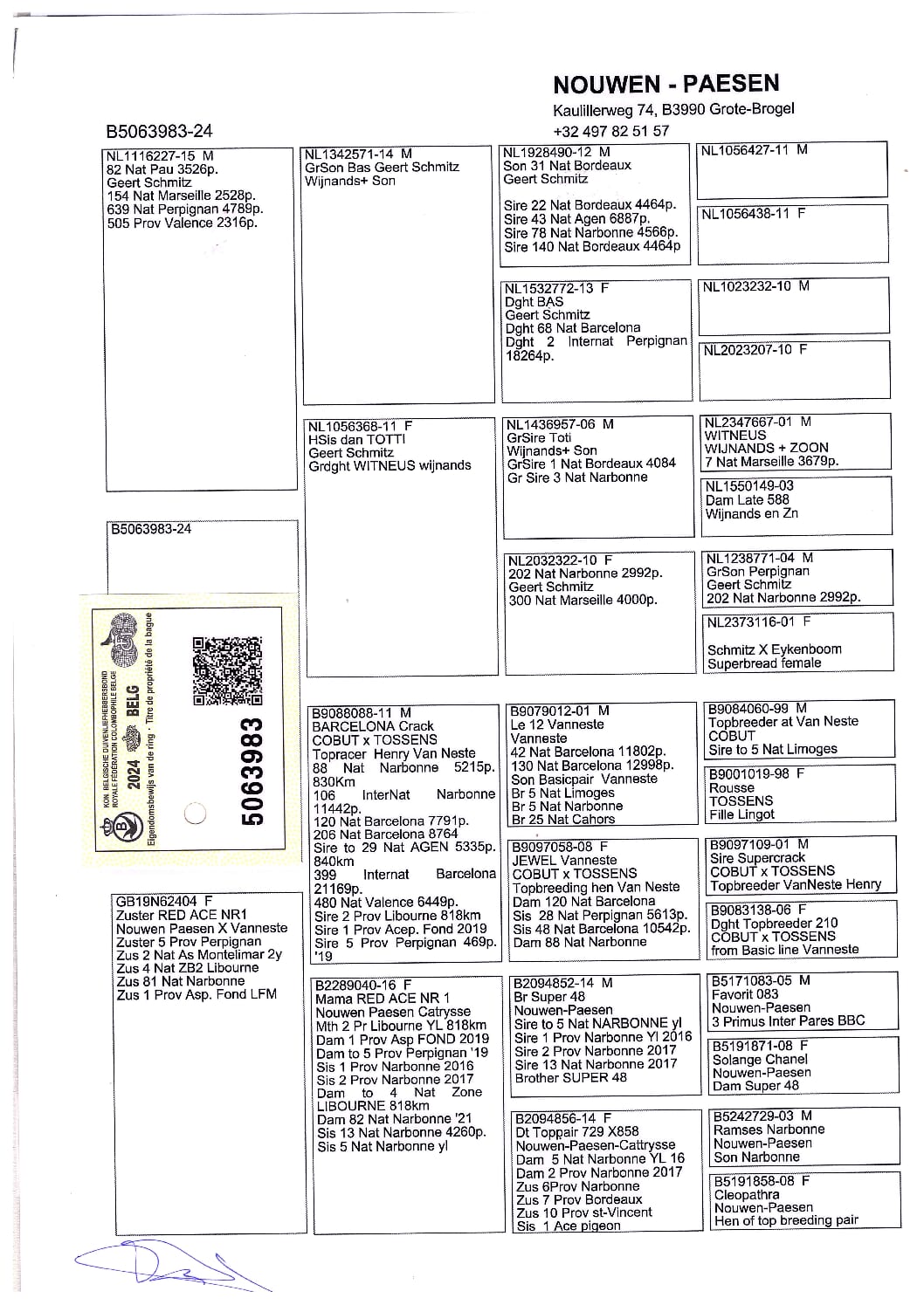 Nouwen Paesen 5063983-24 - 画像 (2)