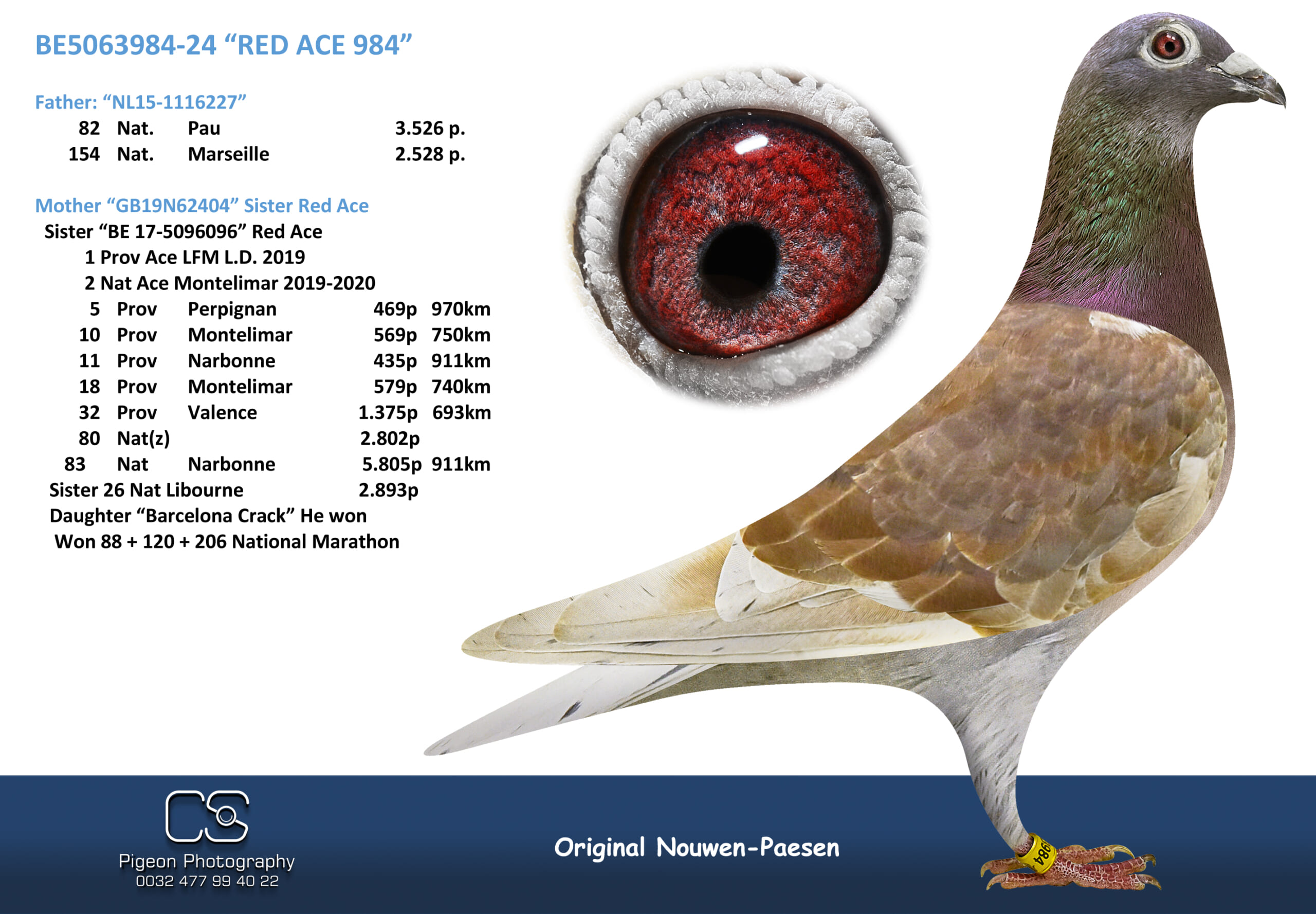 Nouwen Paesen 5063984-24