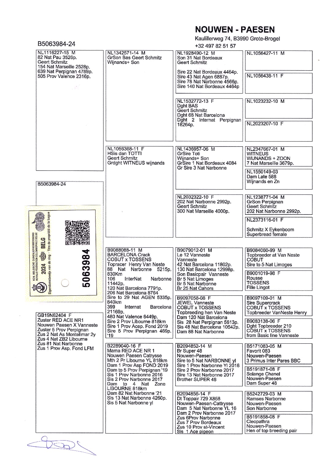 Nouwen Paesen 5063984-24 - 画像 (2)
