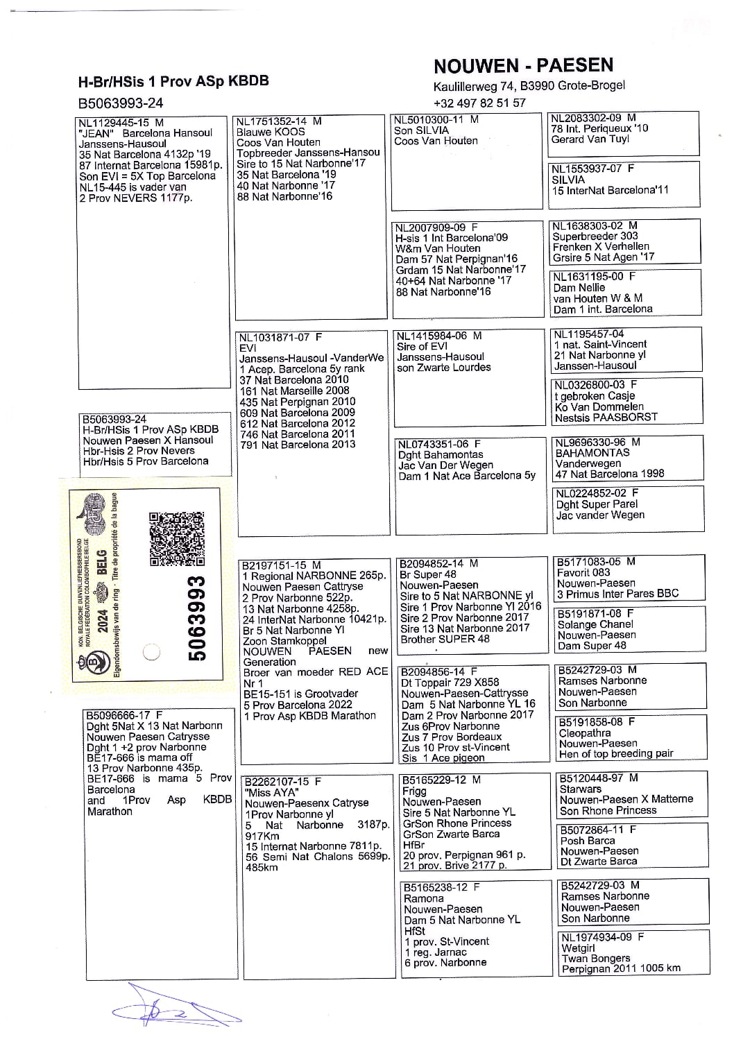 Nouwen Paesen 5063993-24 - 画像 (2)