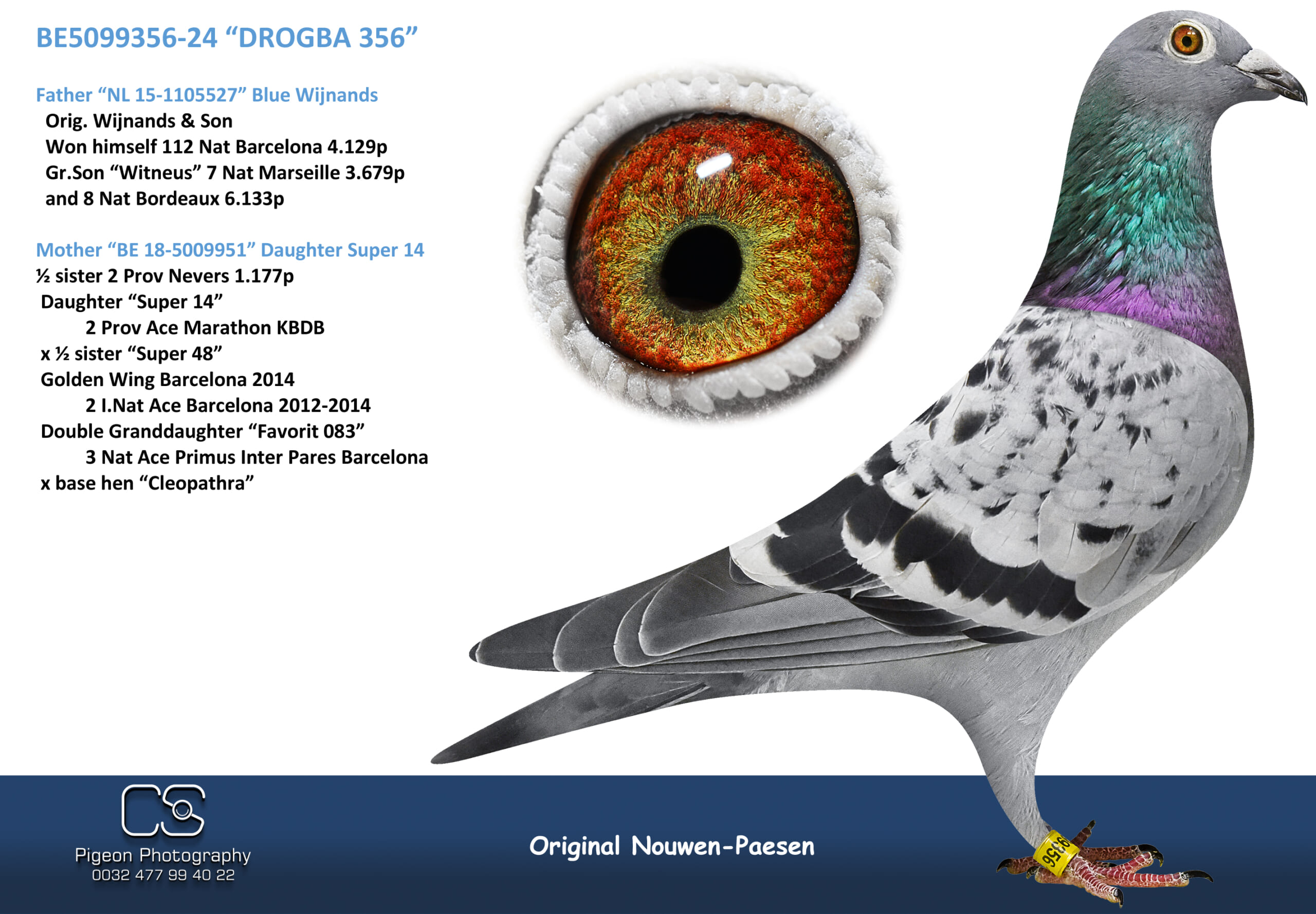 Nouwen Paesen 5099356-24