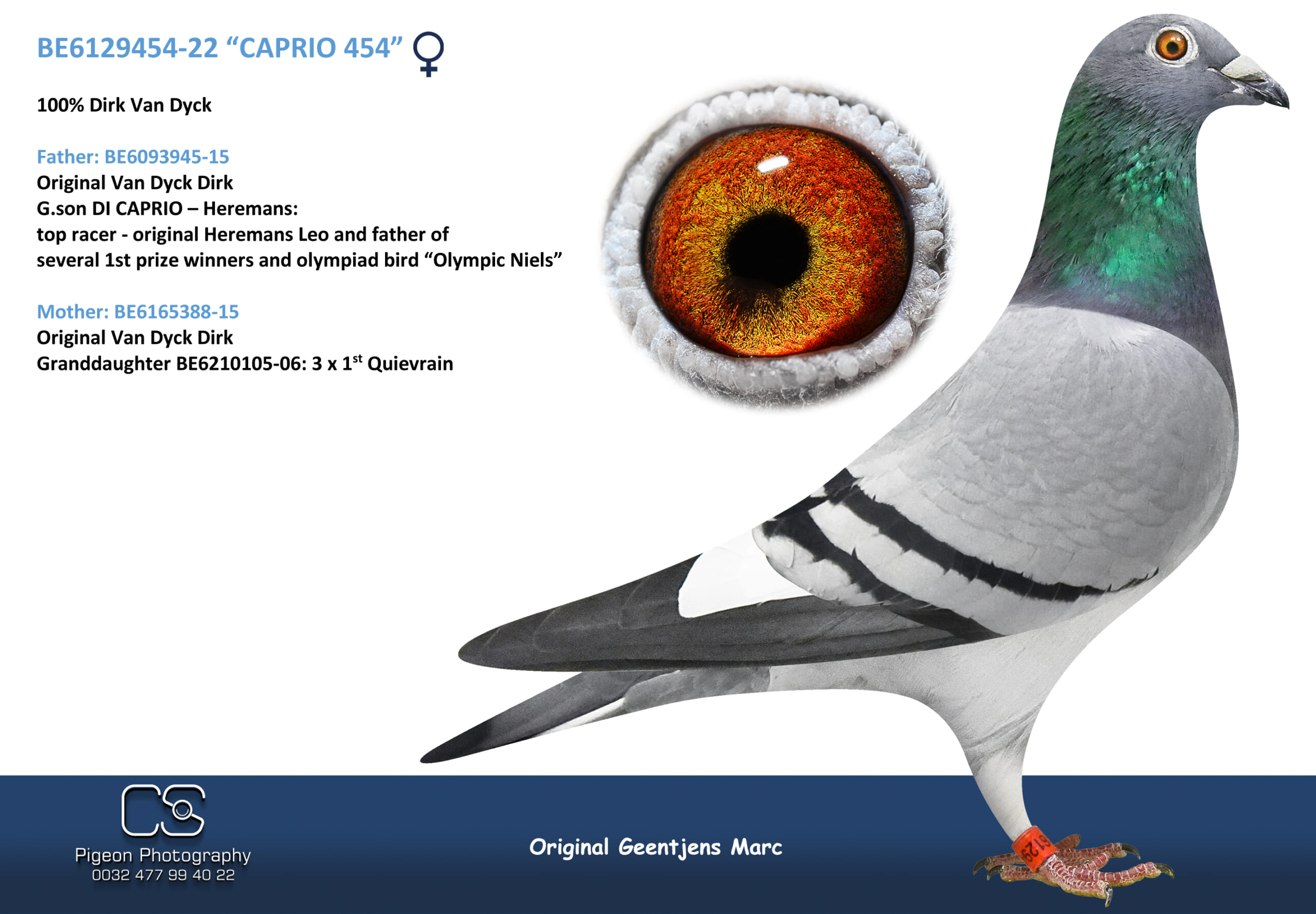 ジェンチェンス BE 6129454-22