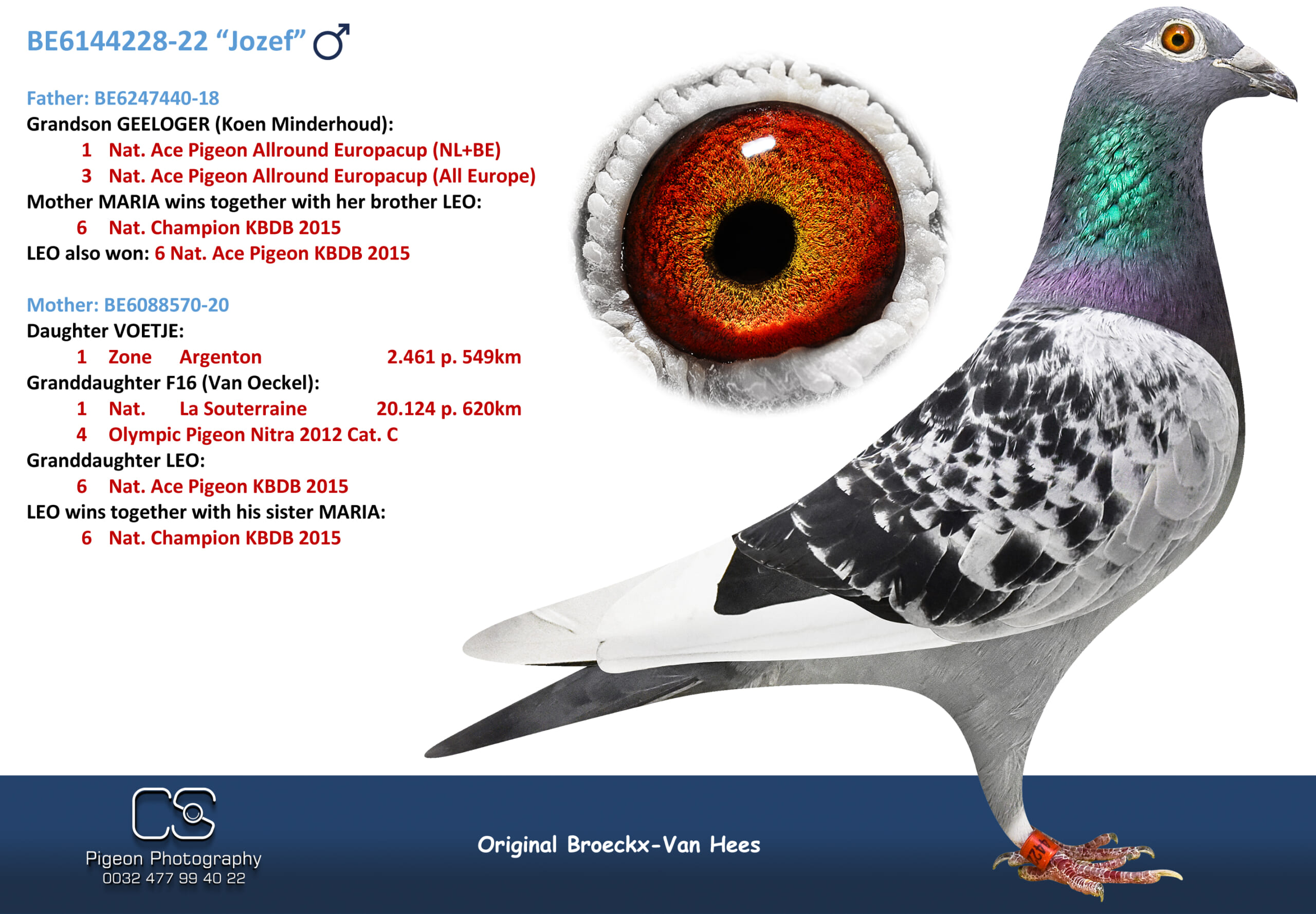 Broeckx Leo BE 6144228-22 売切れ