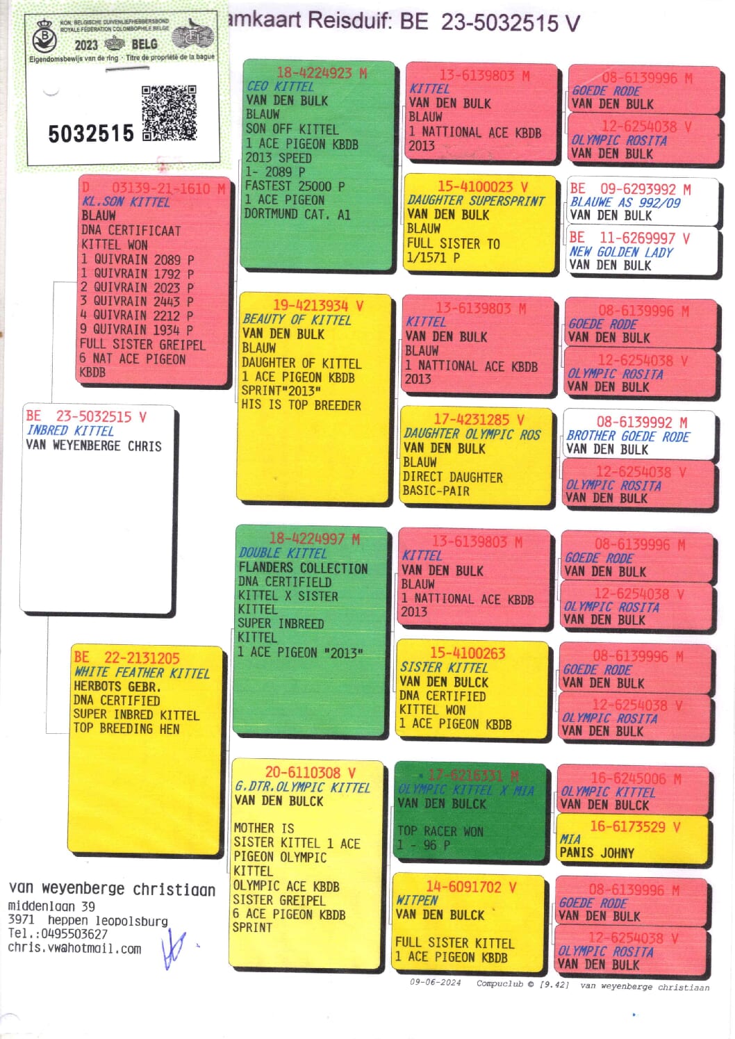 キッテル近親 23-5032515 売切れ - 画像 (2)