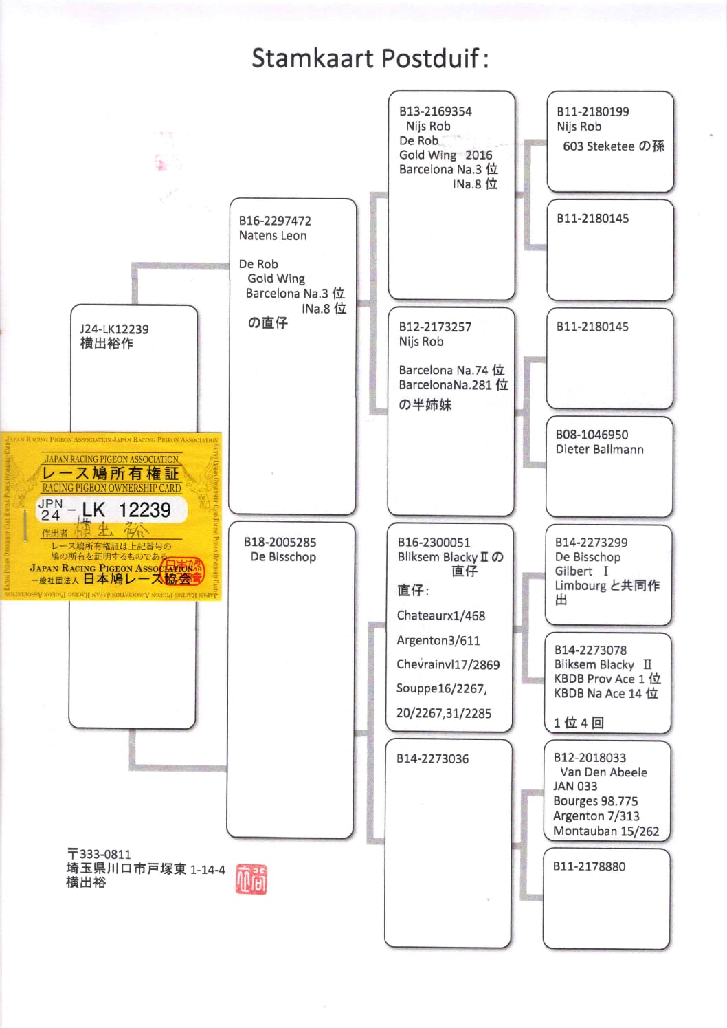 横出鳩 24-LK12239 - 画像 (2)