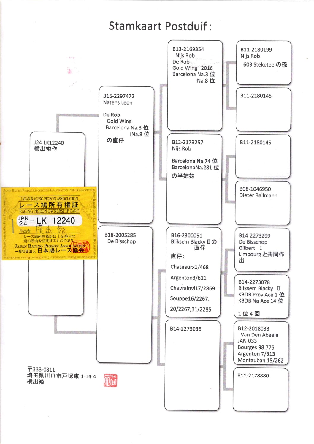 横出鳩 24-LK12240売切れ - 画像 (2)