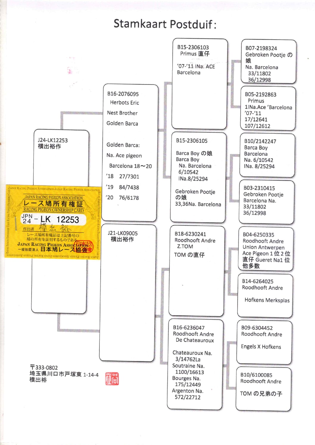 横出鳩 24-LK12253売切れ - 画像 (2)