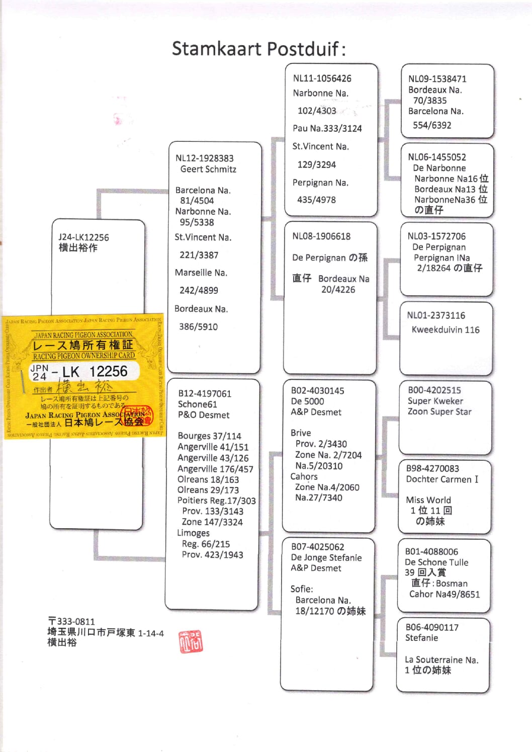横出鳩 24-LK12256売切れ - 画像 (2)