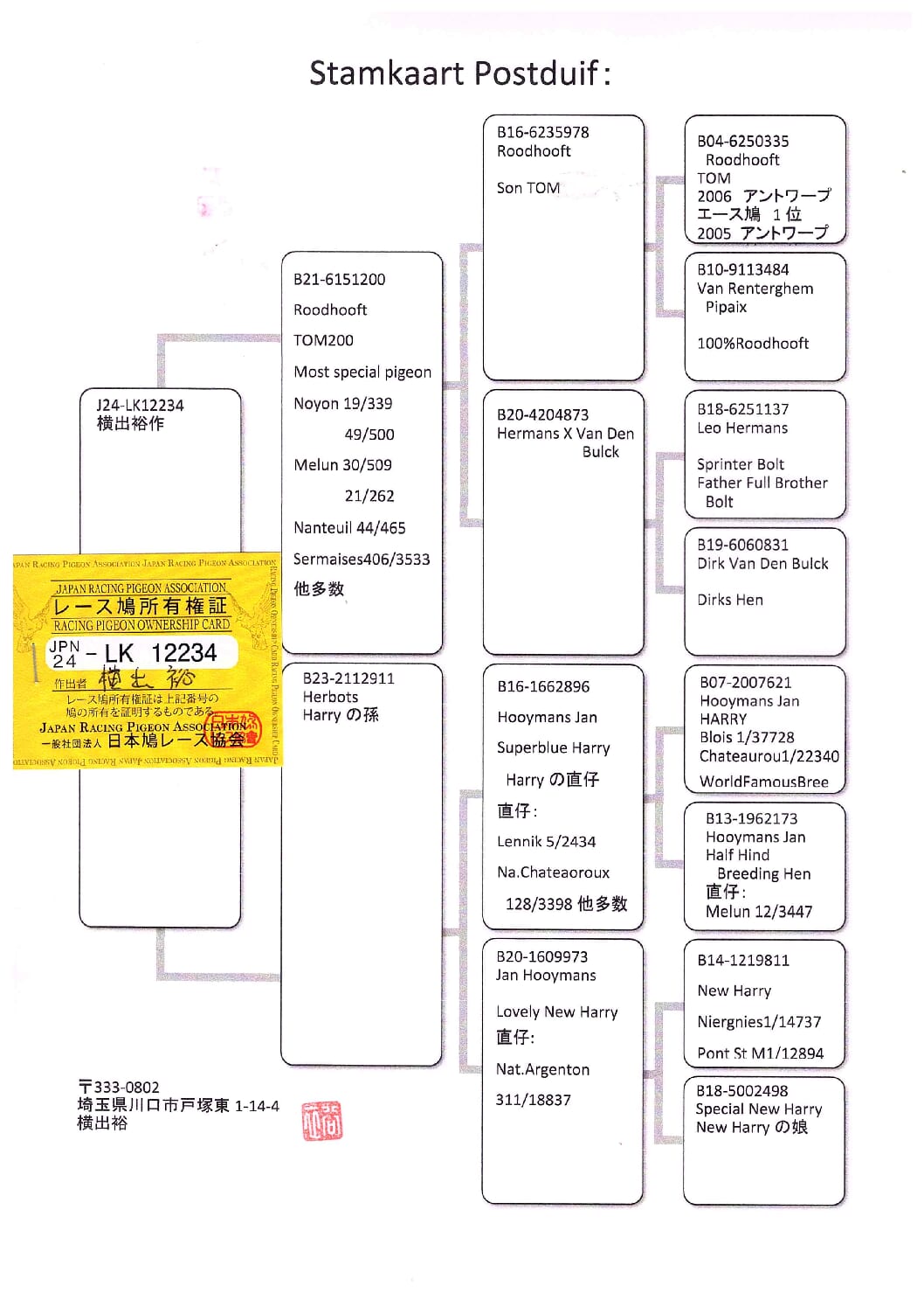 横出鳩 24-LK12234売切れ - 画像 (2)