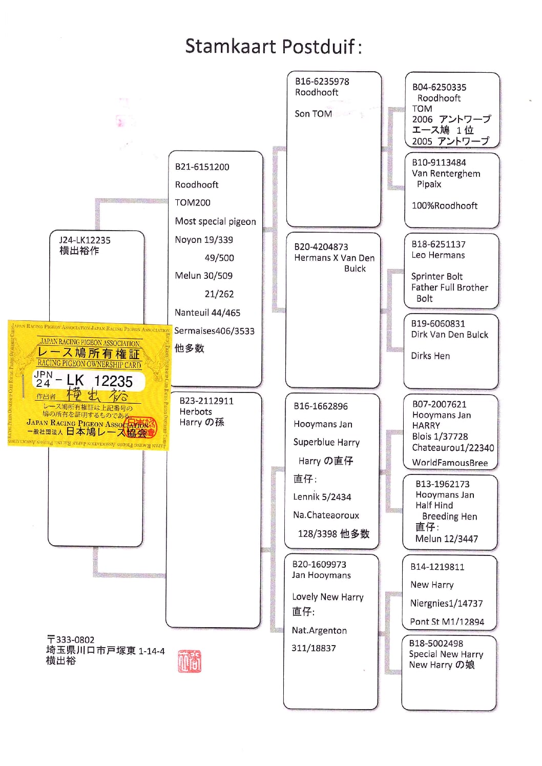 横出鳩 24-LK12235売切れ - 画像 (2)