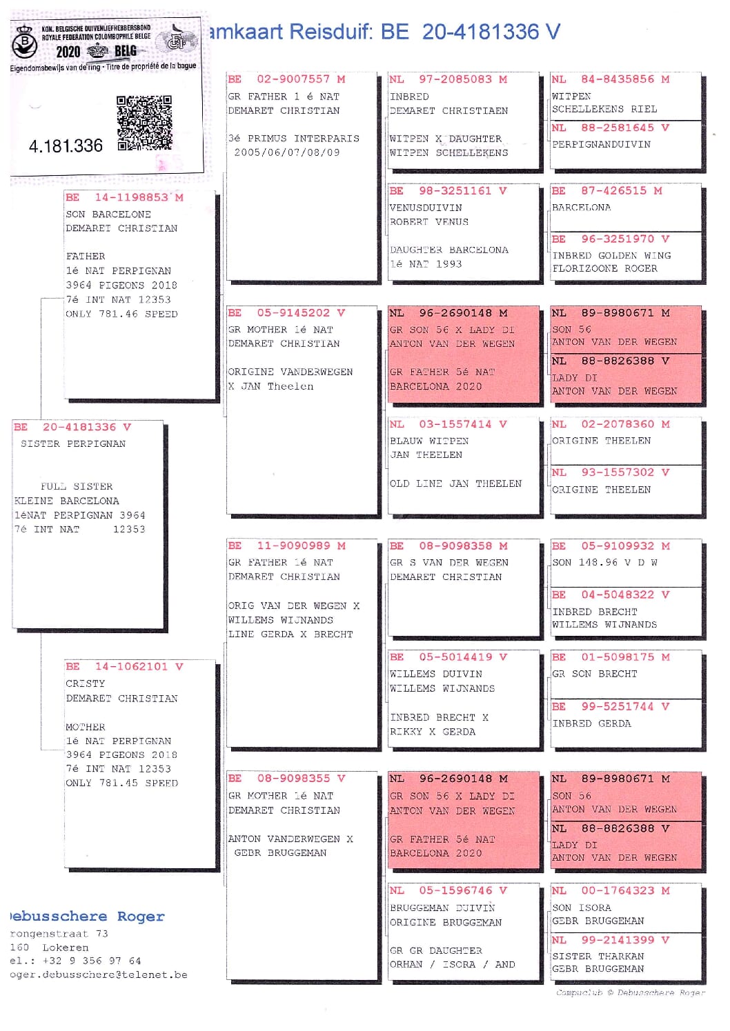 Debusschere BE 4181336-20 - 画像 (2)