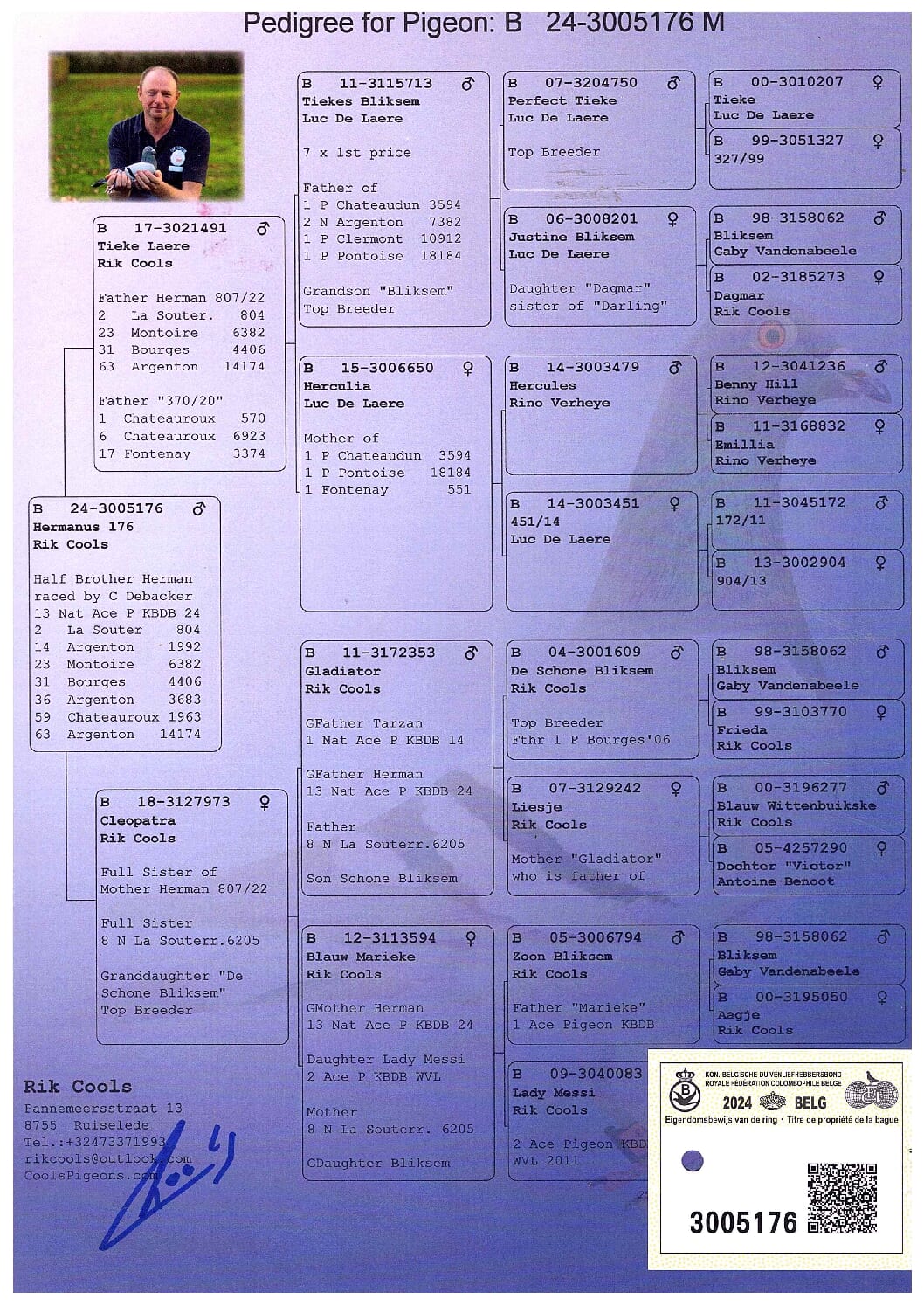 Cools Rik BE 3005176-24 - 画像 (2)