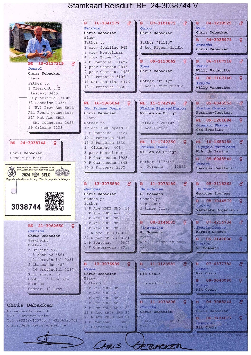 Debacker Chris BE 3038744-24 - 画像 (2)