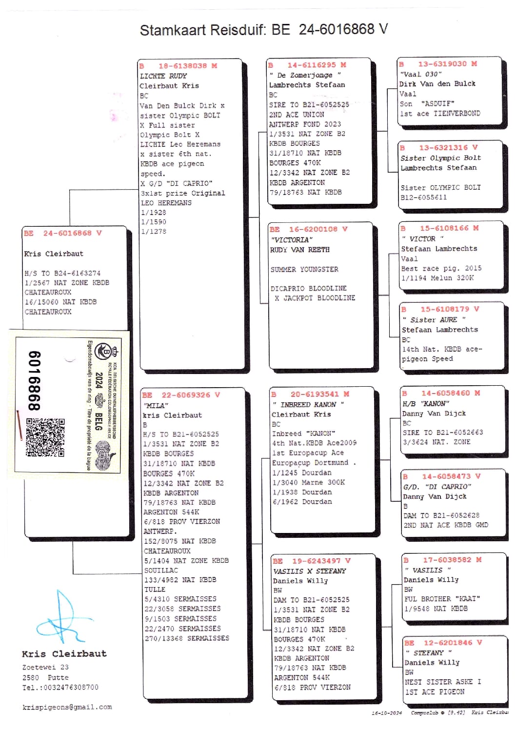 Cleirbaut BE 6016868-24 - 画像 (2)