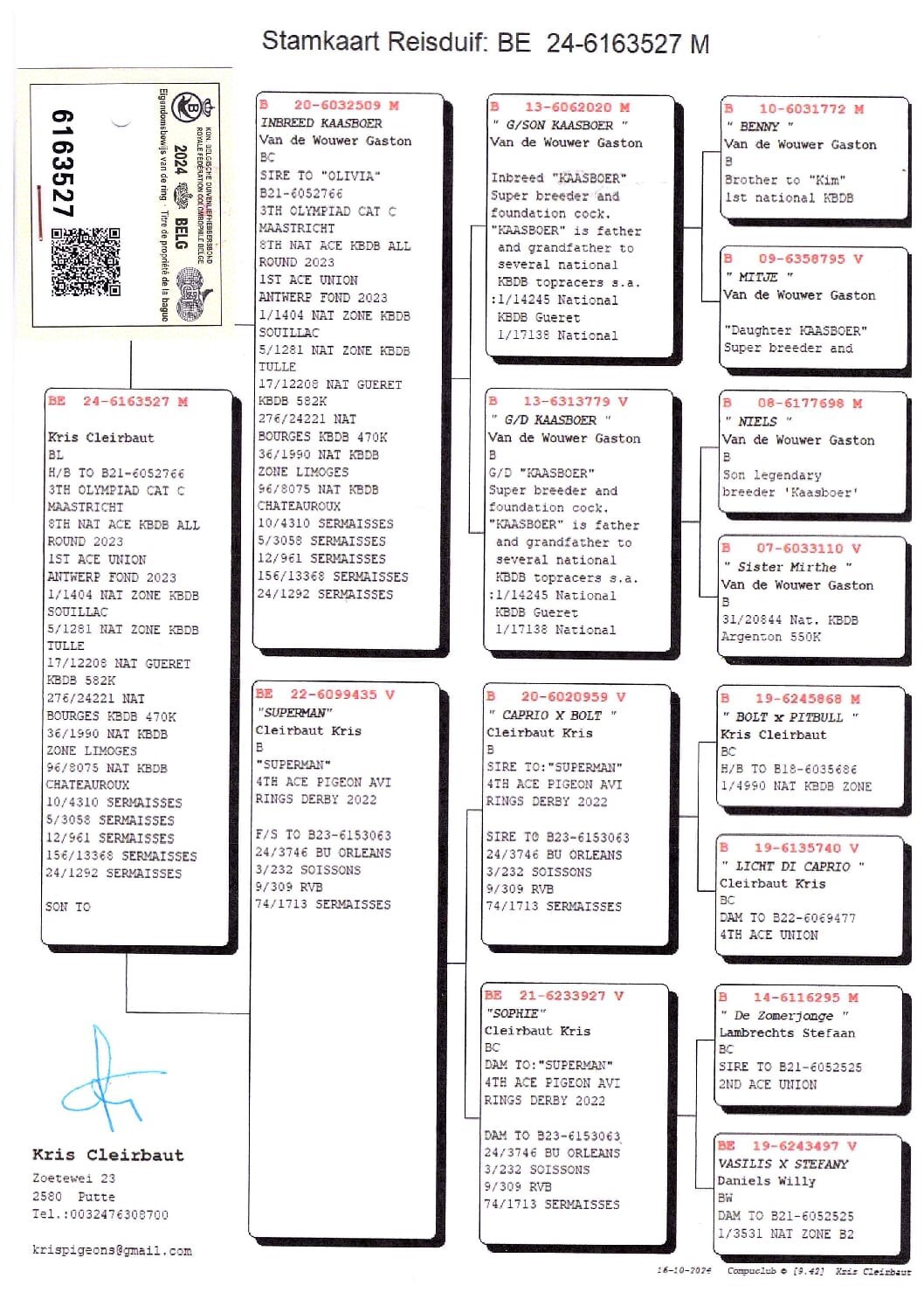 Cleirbaut BE 6163527-24 - 画像 (2)