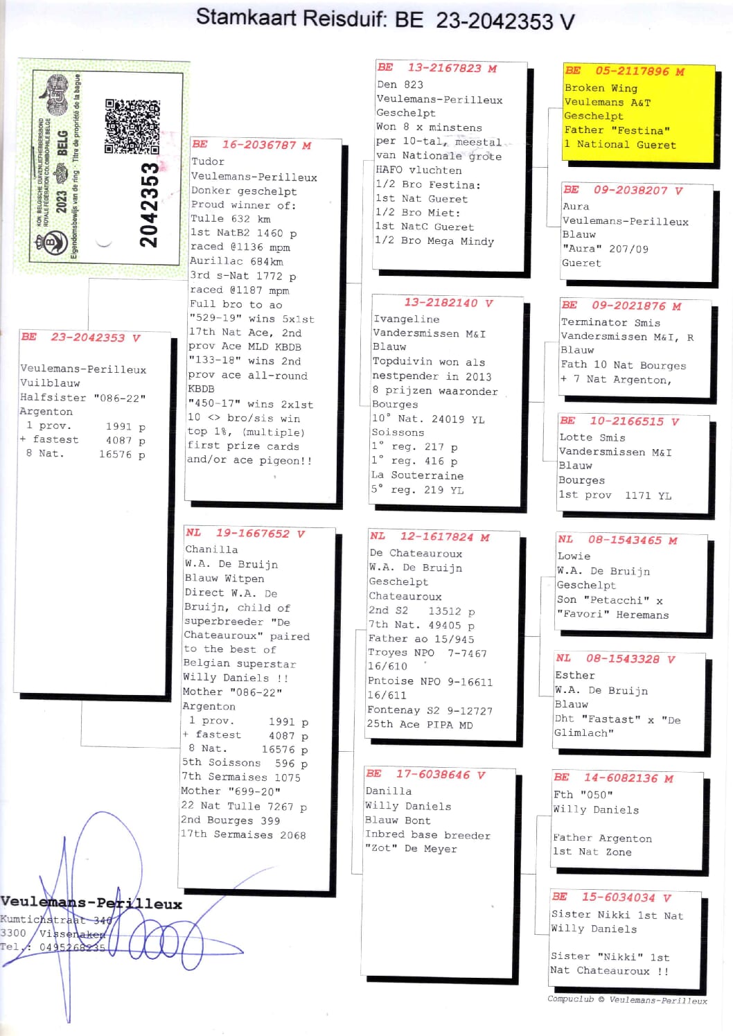 ヒューレマンス BE 2042353-23 - 画像 (2)