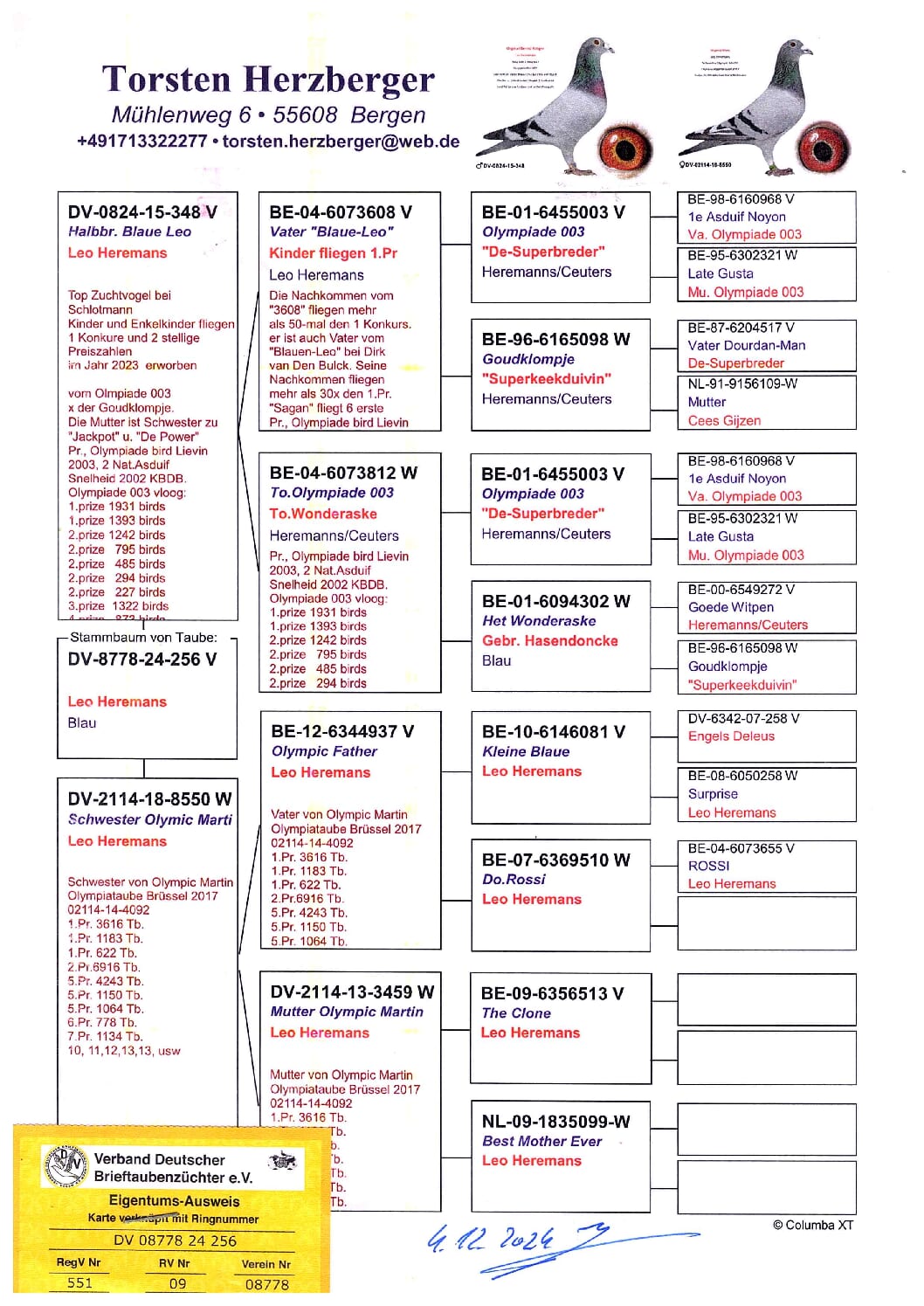 Leo Heremans DV08778-24-256 - 画像 (2)