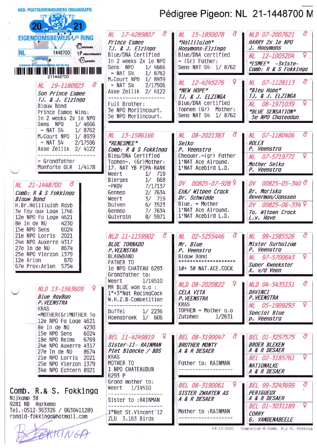 Fokkinga NL1448700-21 - 画像 (2)