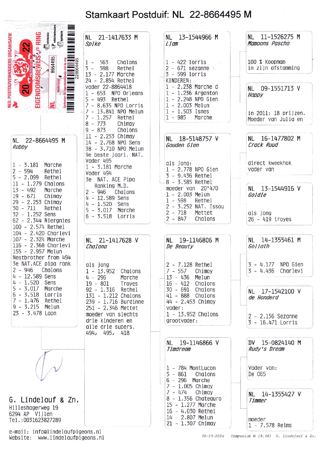 Lindelauf NL8664495-22売切れ - 画像 (2)
