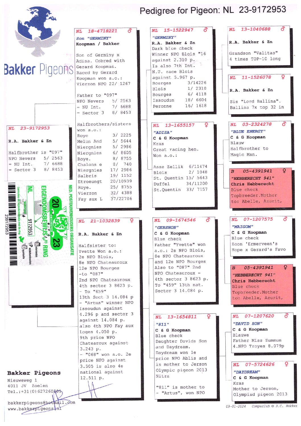 Bakker & Zoon NL9172953-23 - 画像 (2)