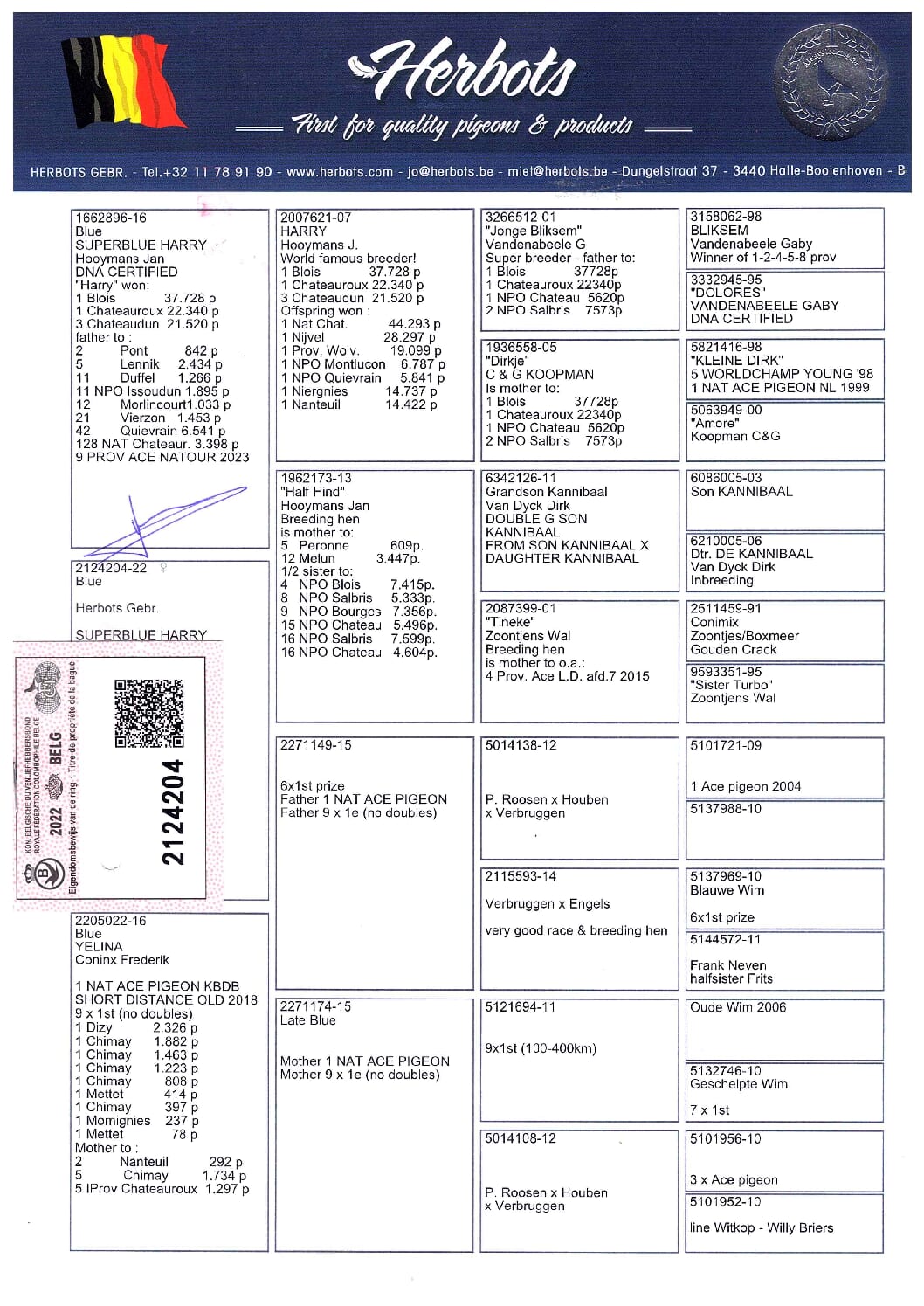 Herbots pigeons 22-2124204 - 画像 (3)