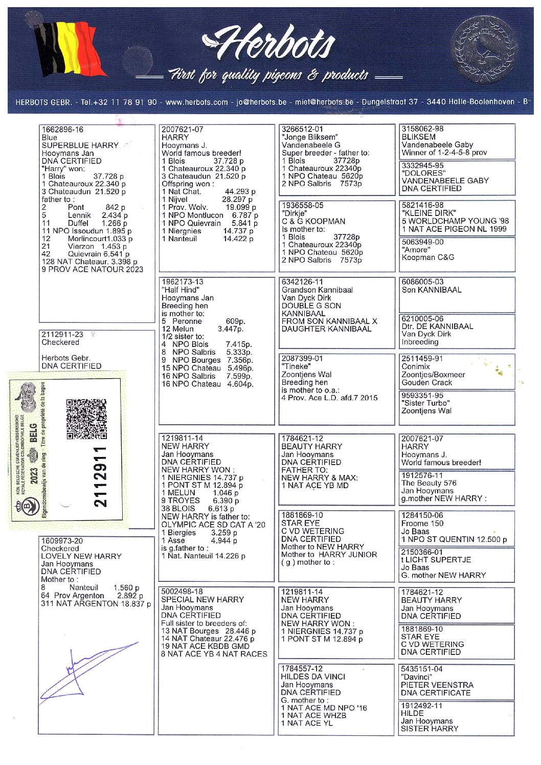 Herbots pigeons 23-2112911売切れ - 画像 (3)